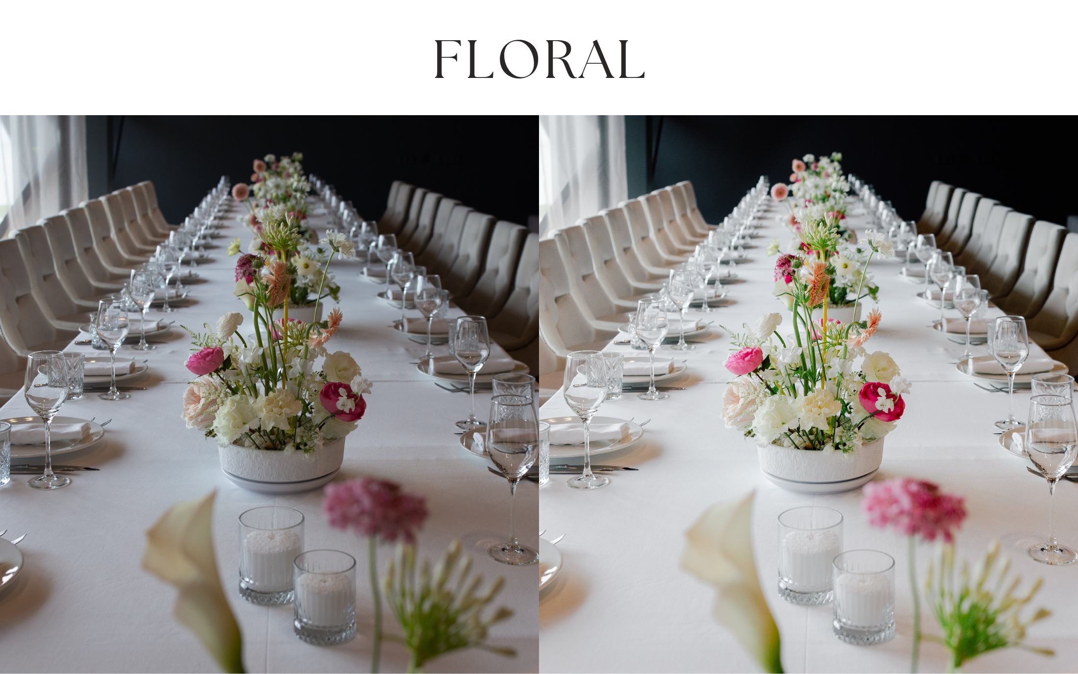 Preset Constructor. Presets for any camera, any light, any genre