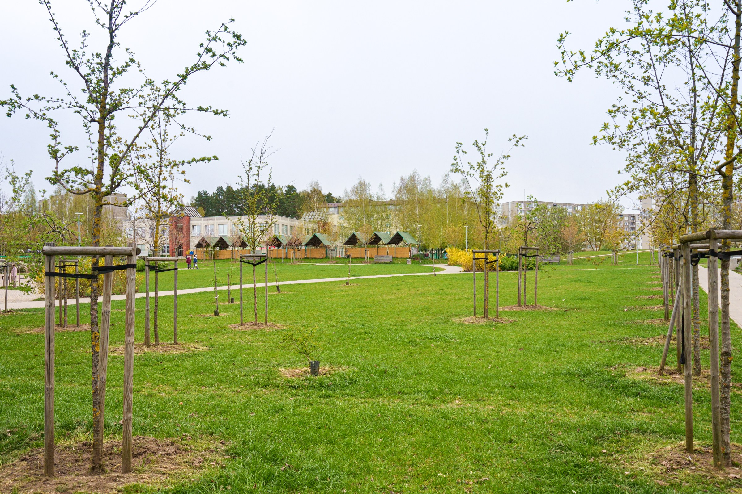 S.Neries g. 15. Elina Sapiega fotografė Vilniuje