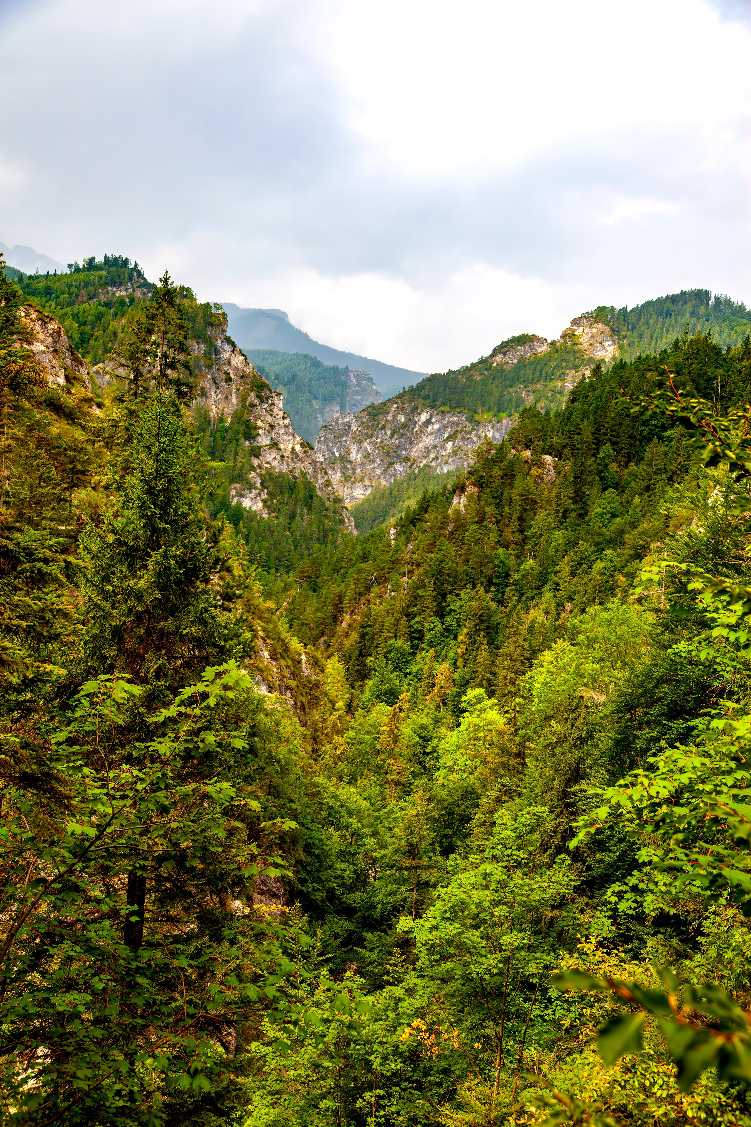197.Ötscher Base Nature Park.Austria.21.8.2025. Путешествия в формате 360......