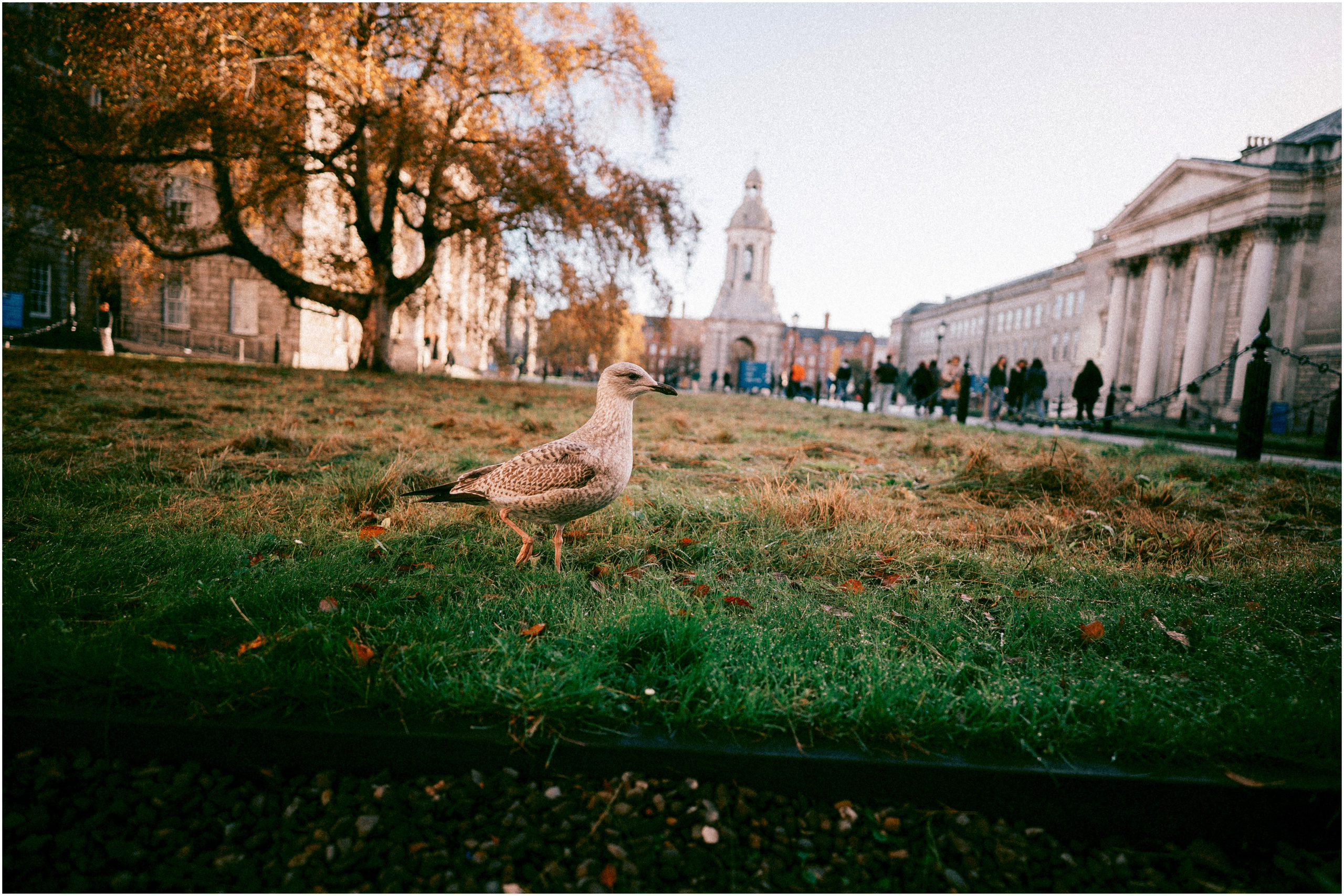 IRELAND. Inna Mendelson — Photographer