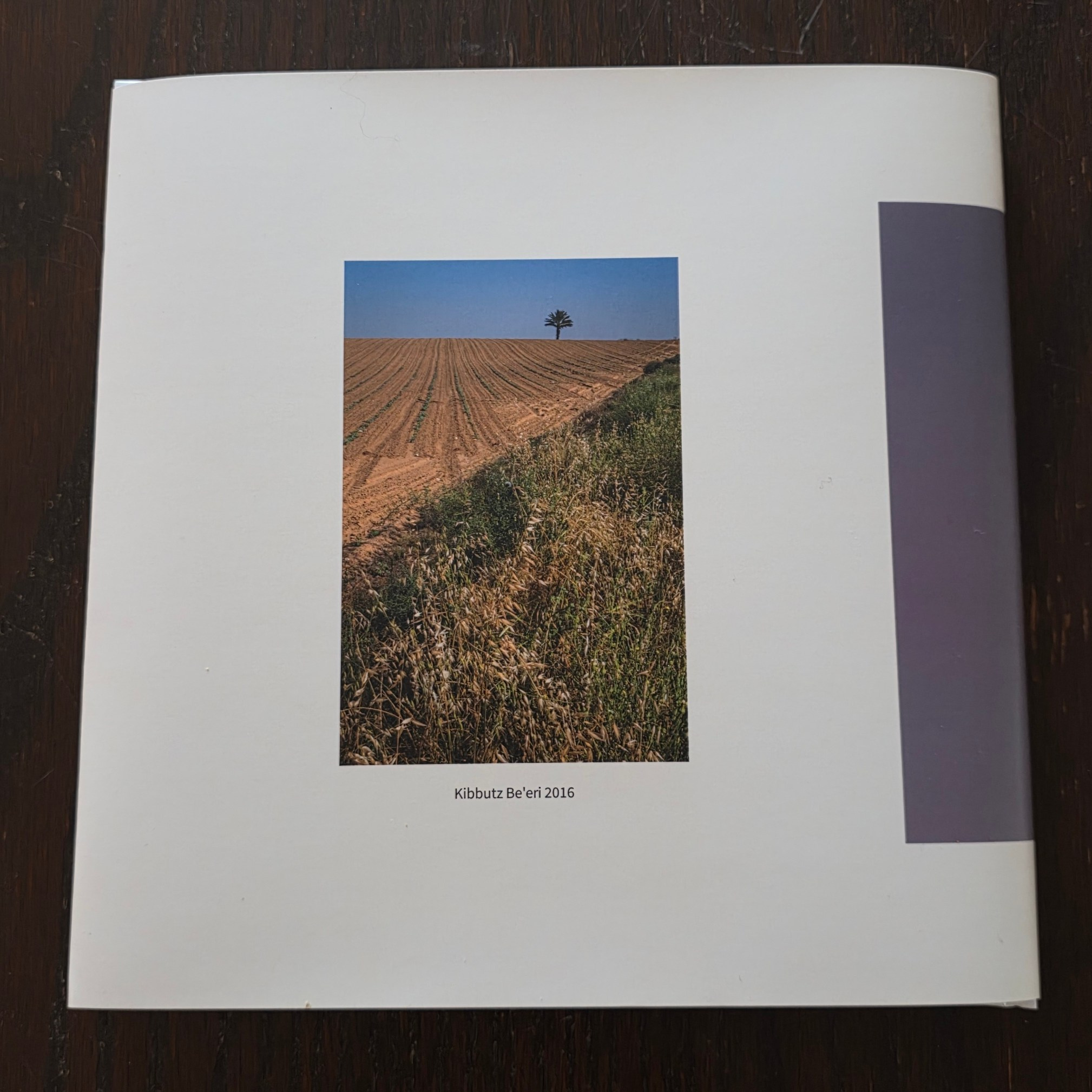 Books. Portrait & Event photographer in Israel — Rebecca Kowalsky