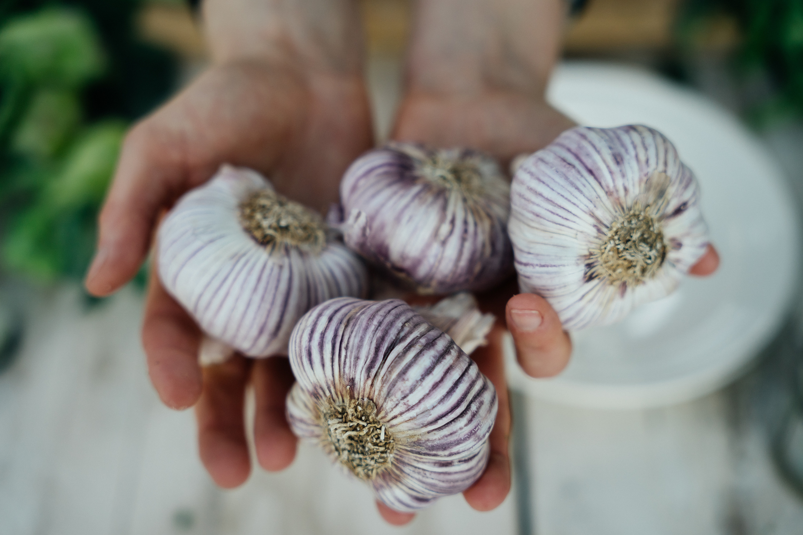 FOOD BLOG. PHOTOGRAPHER IN ITALY