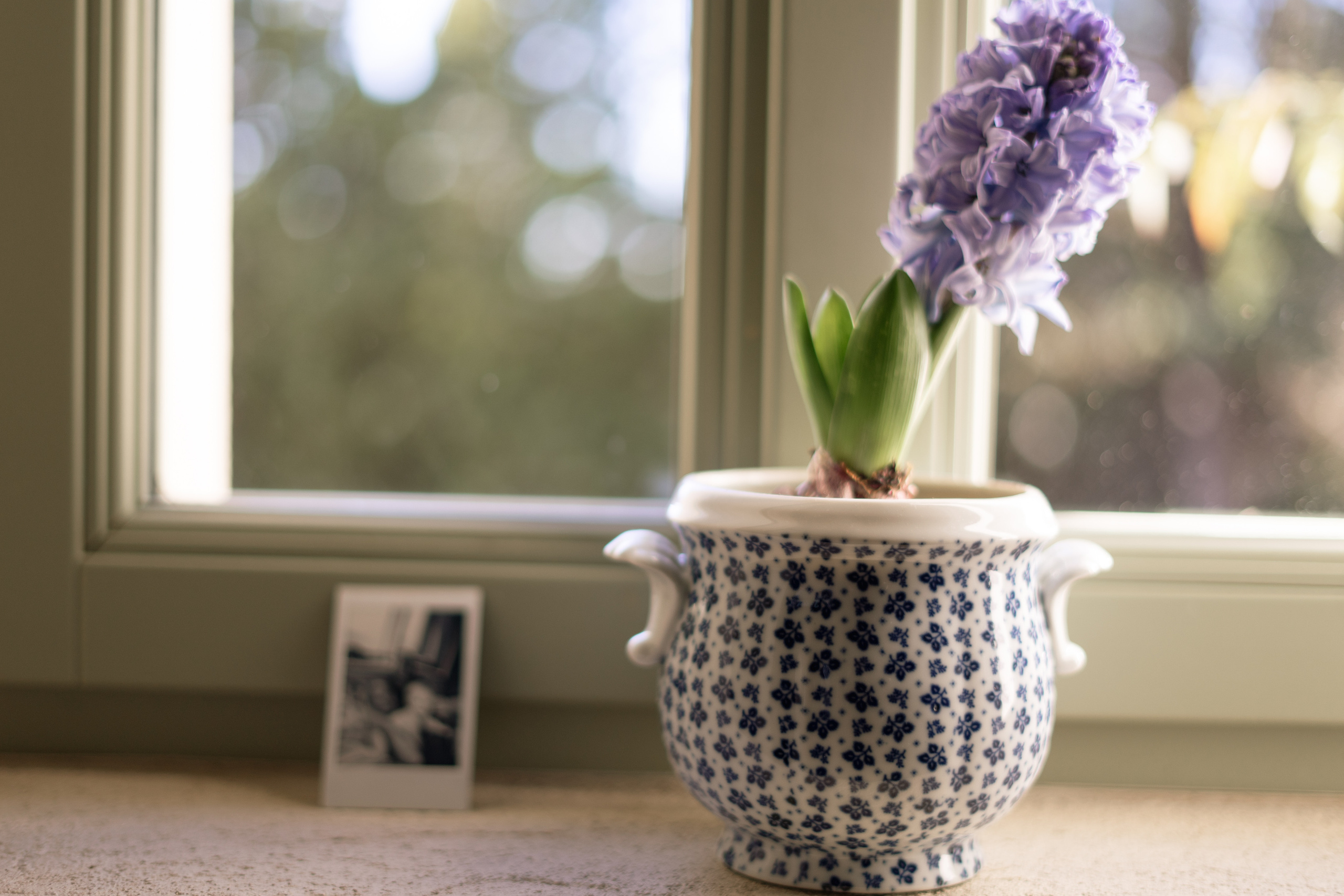 Glafira and Tanya. PHOTOGRAPHER IN ITALY