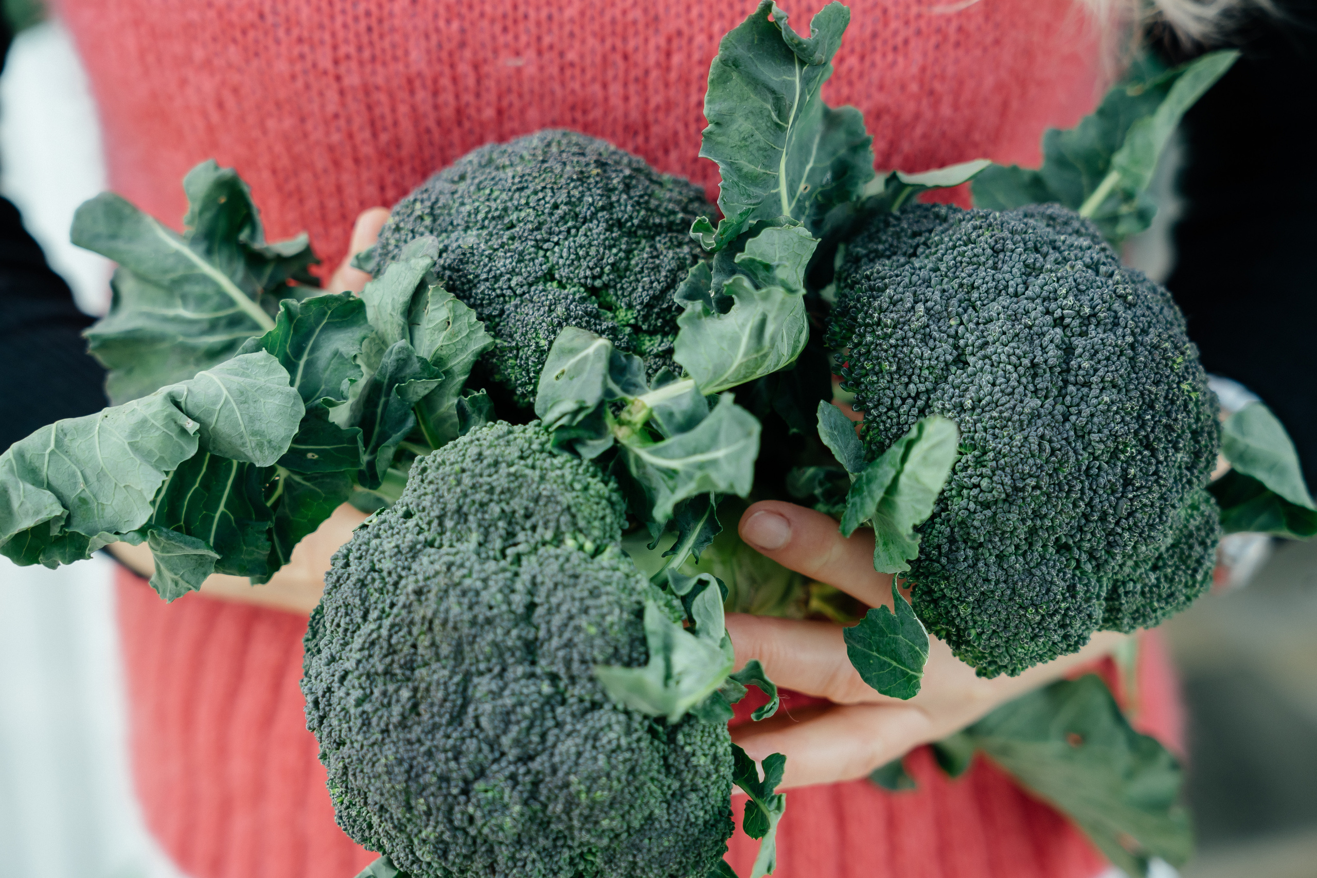 FOOD BLOG. PHOTOGRAPHER IN ITALY