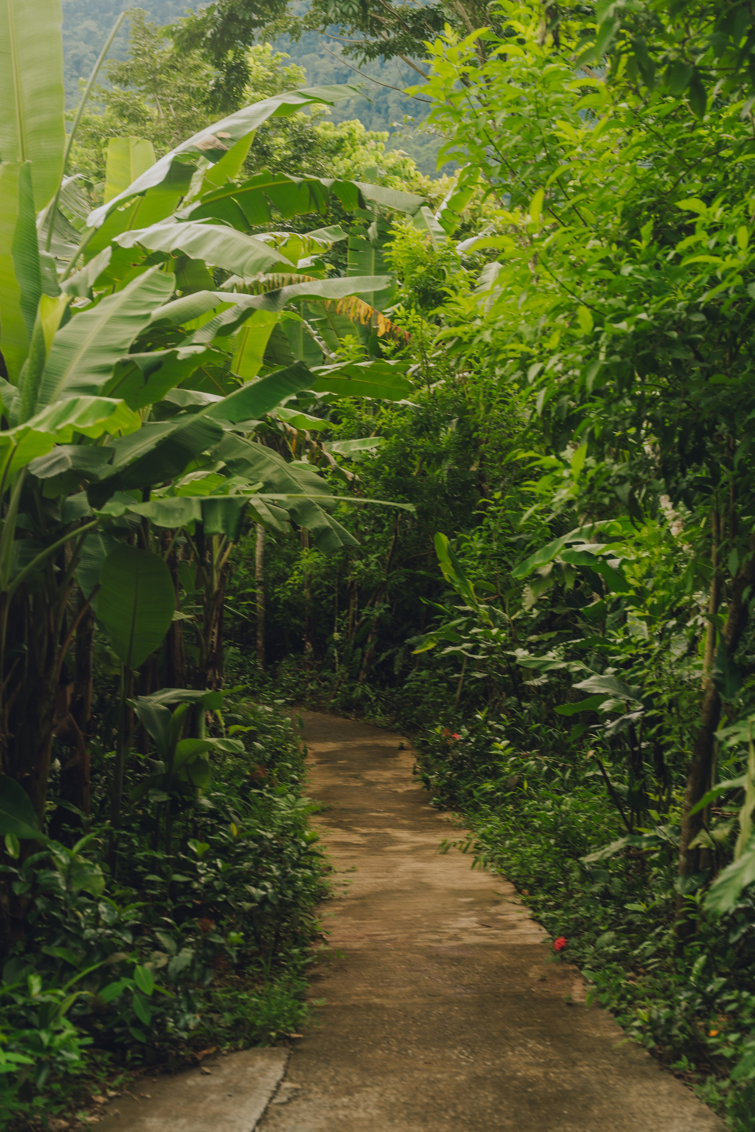 Avana Retreat, Vietnam. Editorial photographer Yuliya Drazdovich