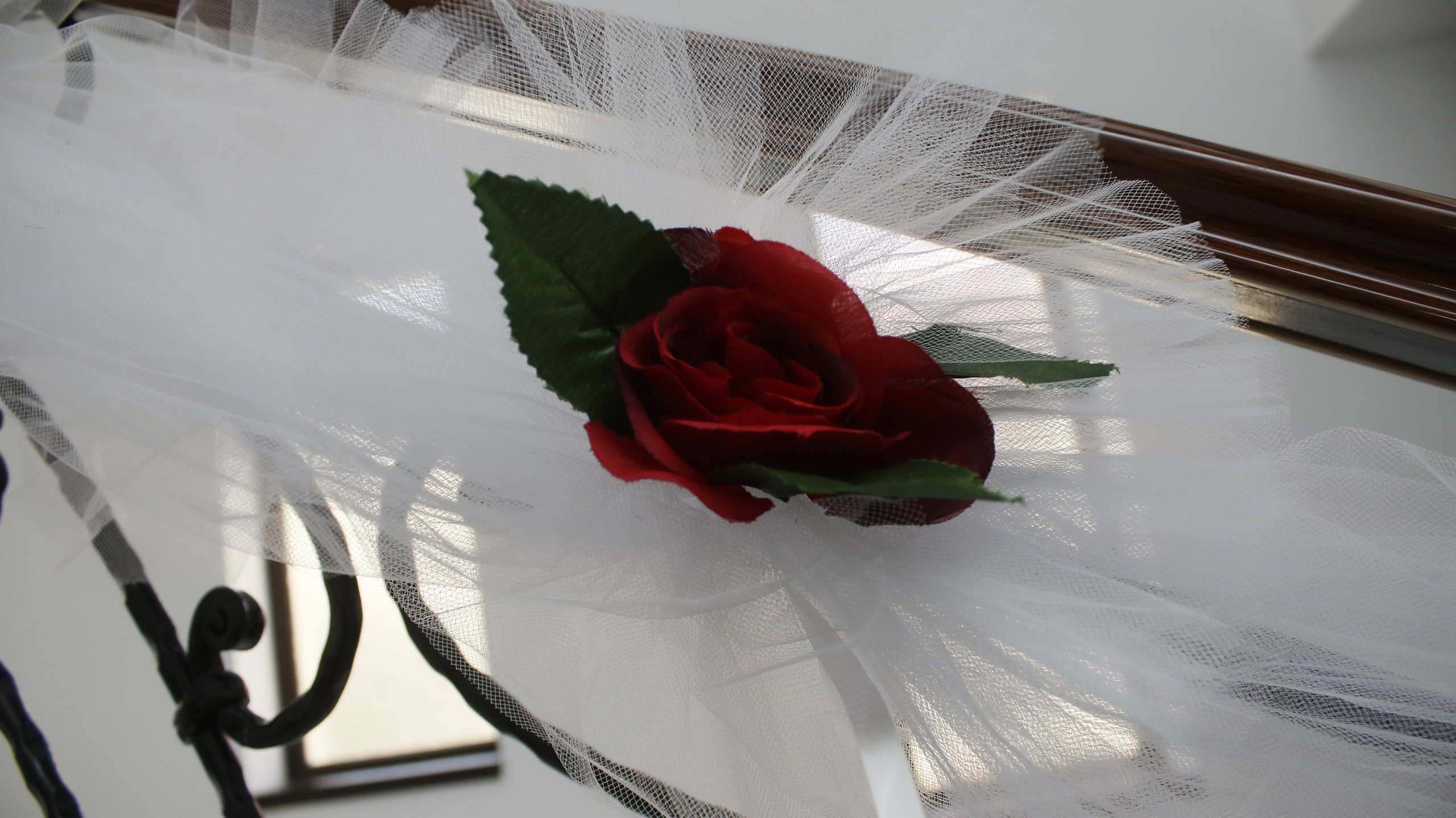 22 08 2024. PETRU BYZO - family and children photographer in ROMANIA