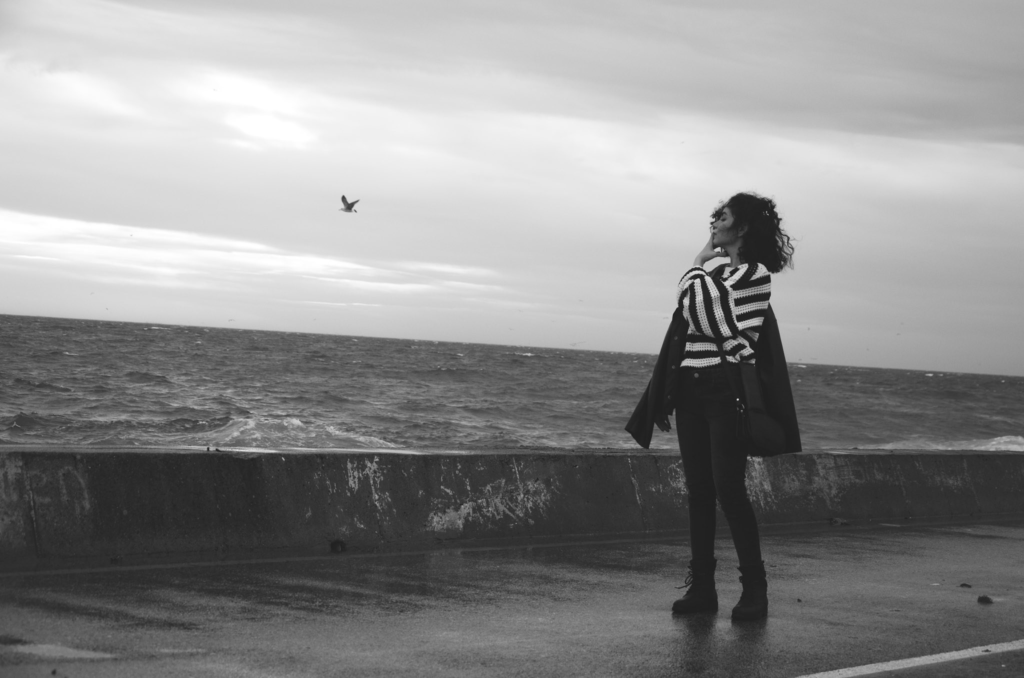 Portfolio. Mohammad Sahihi Benis Photography