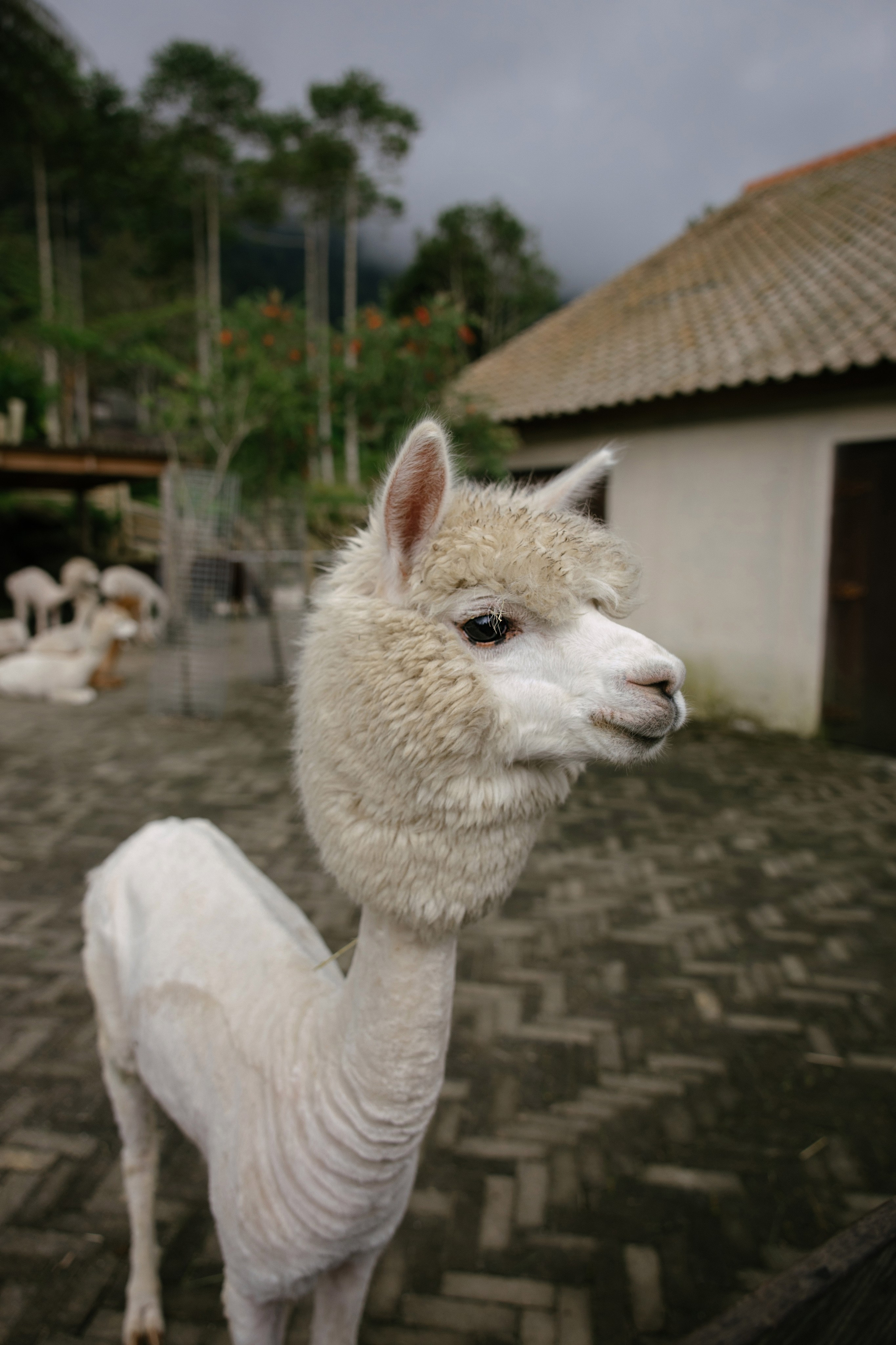 North trip. Профессиональный фотограф Нурмиева Вероника