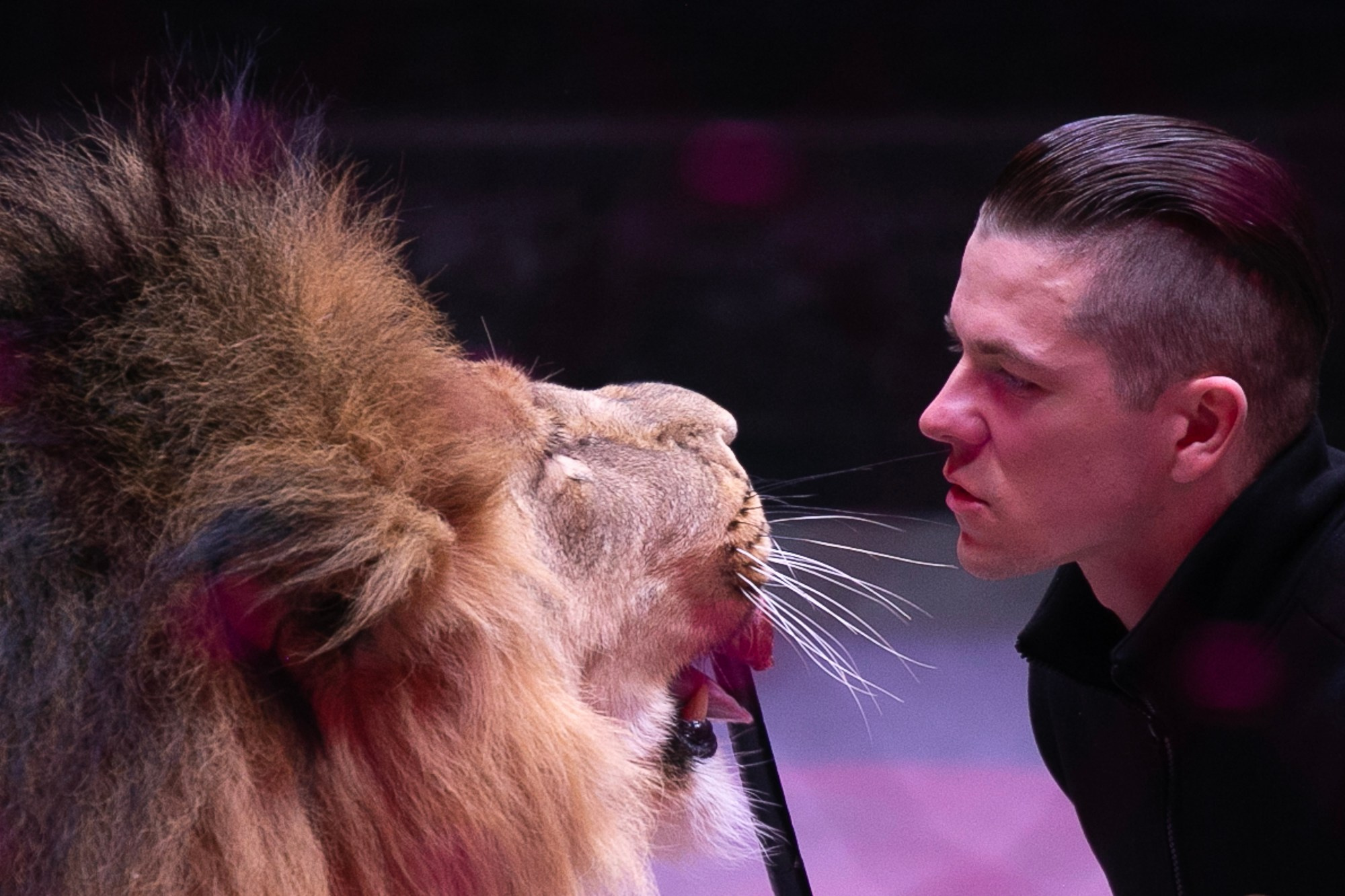 Reportage photographer Bratislava | Репортажний фотограф Братислава