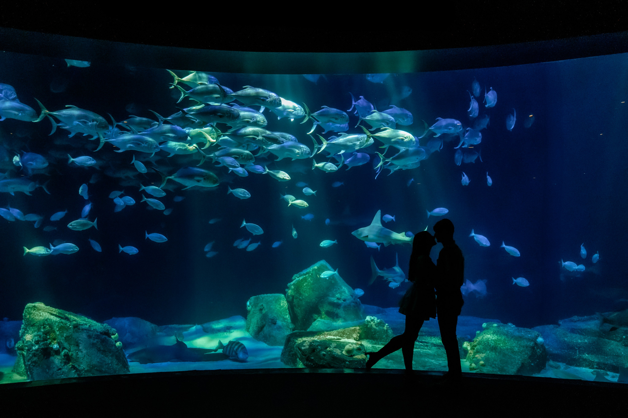 COUPLES. Ljova She Photography | This website is dedicated to wedding, couple, and proposal photography