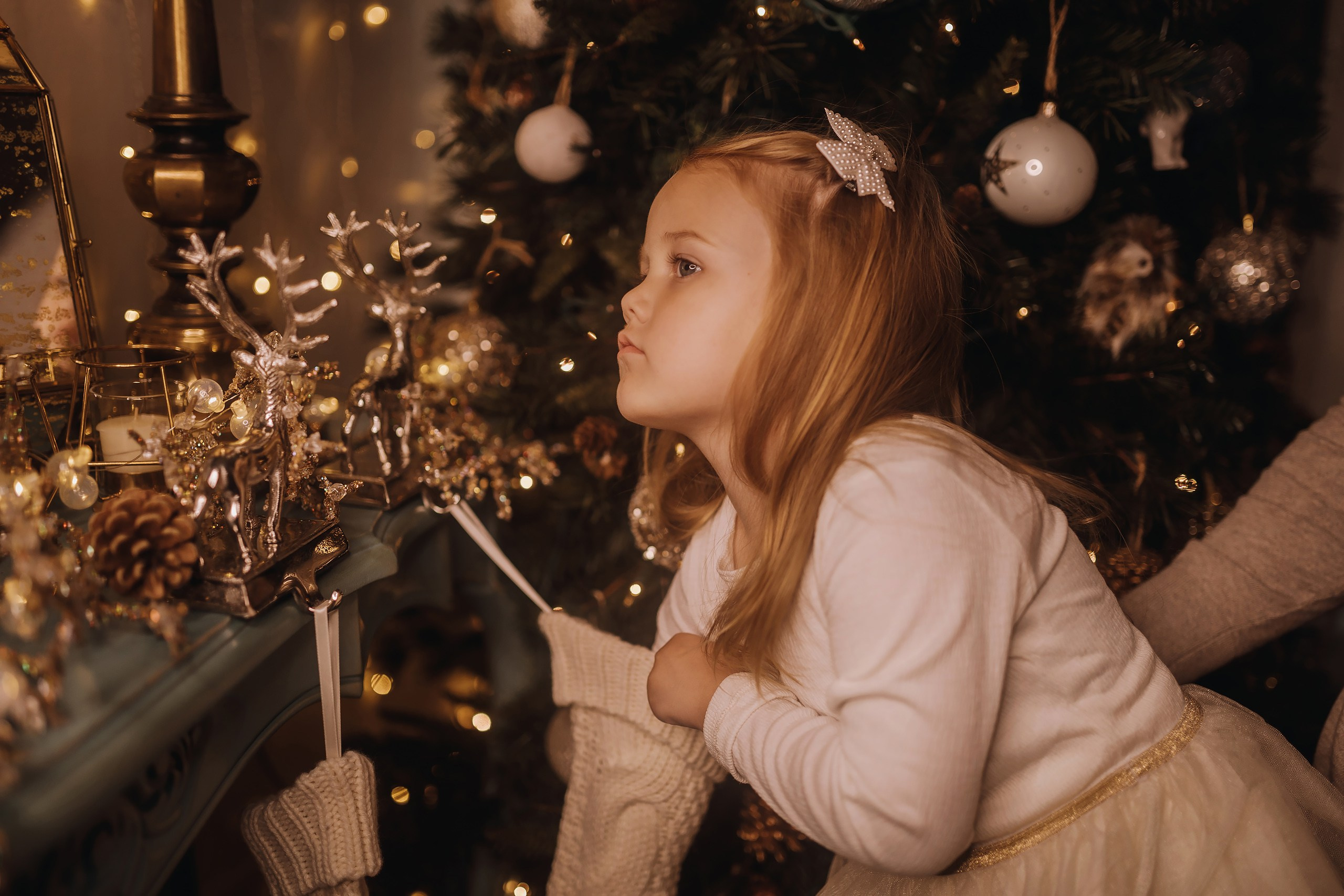 25.11.2023 Christmas Photoshoot. Wedding family event photographer in Chicago Nick Yushevich