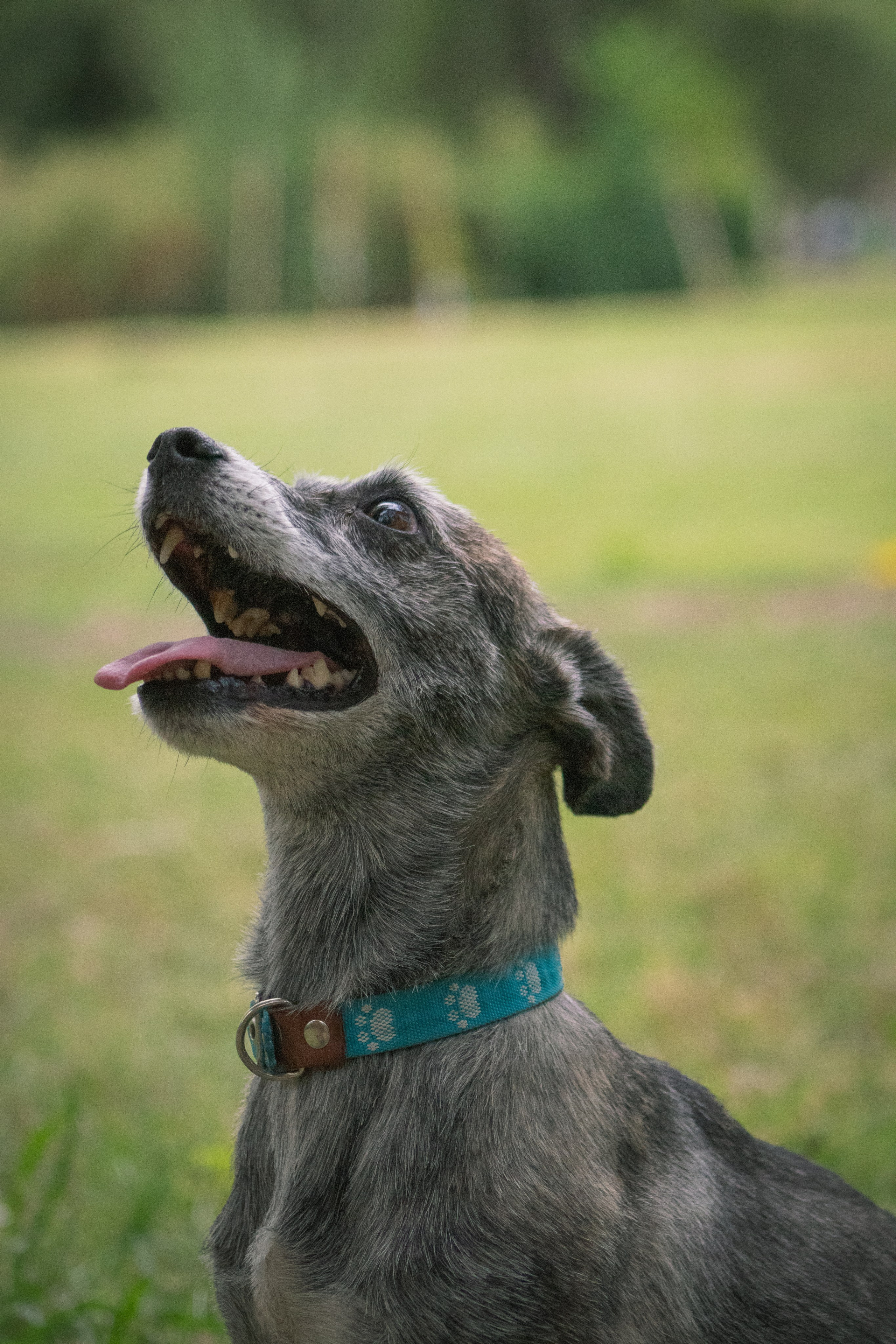 Maya & Pablo. Fotógrafo en Mendoza Alexander Safonov