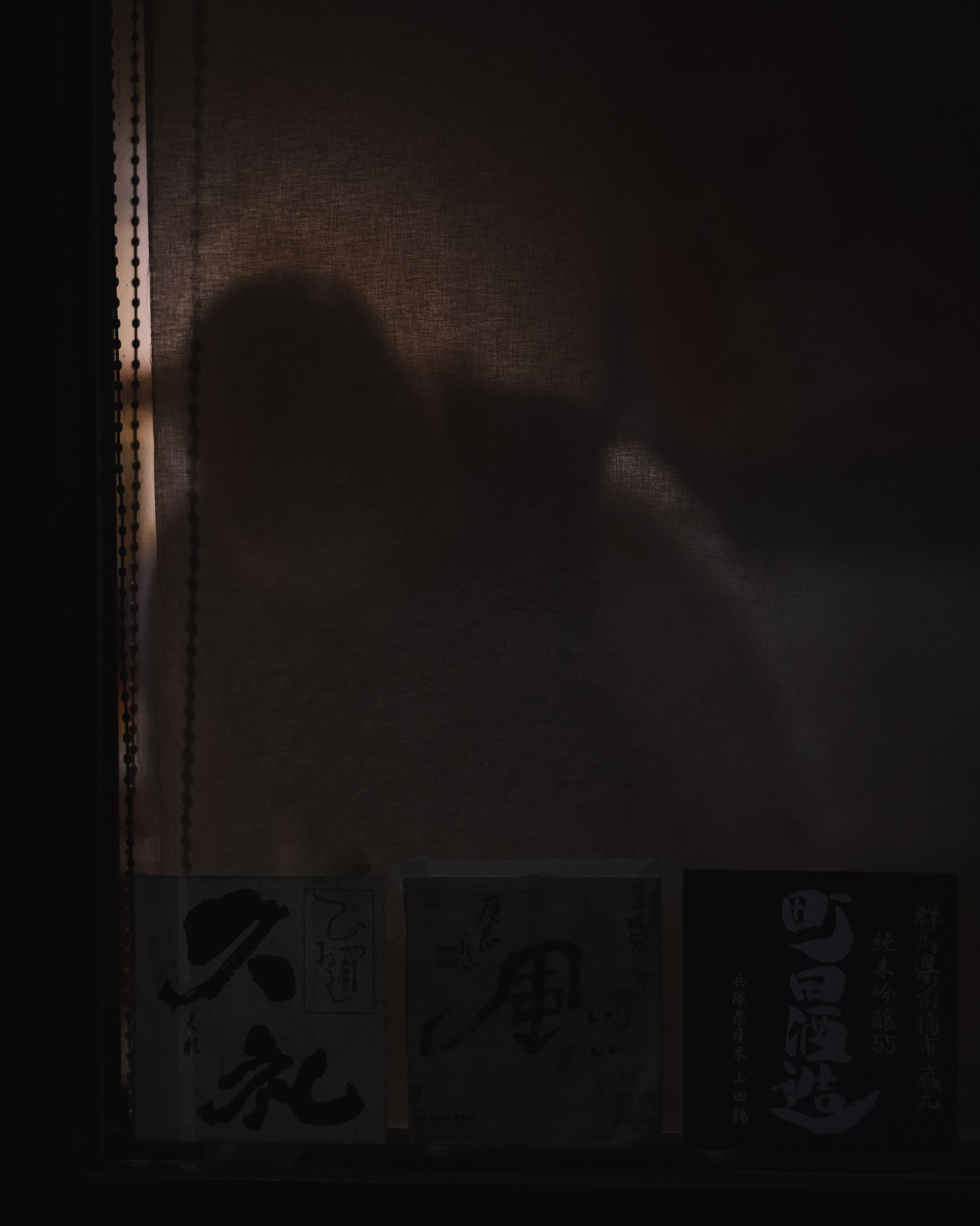 Silhouette stories. Senya JP