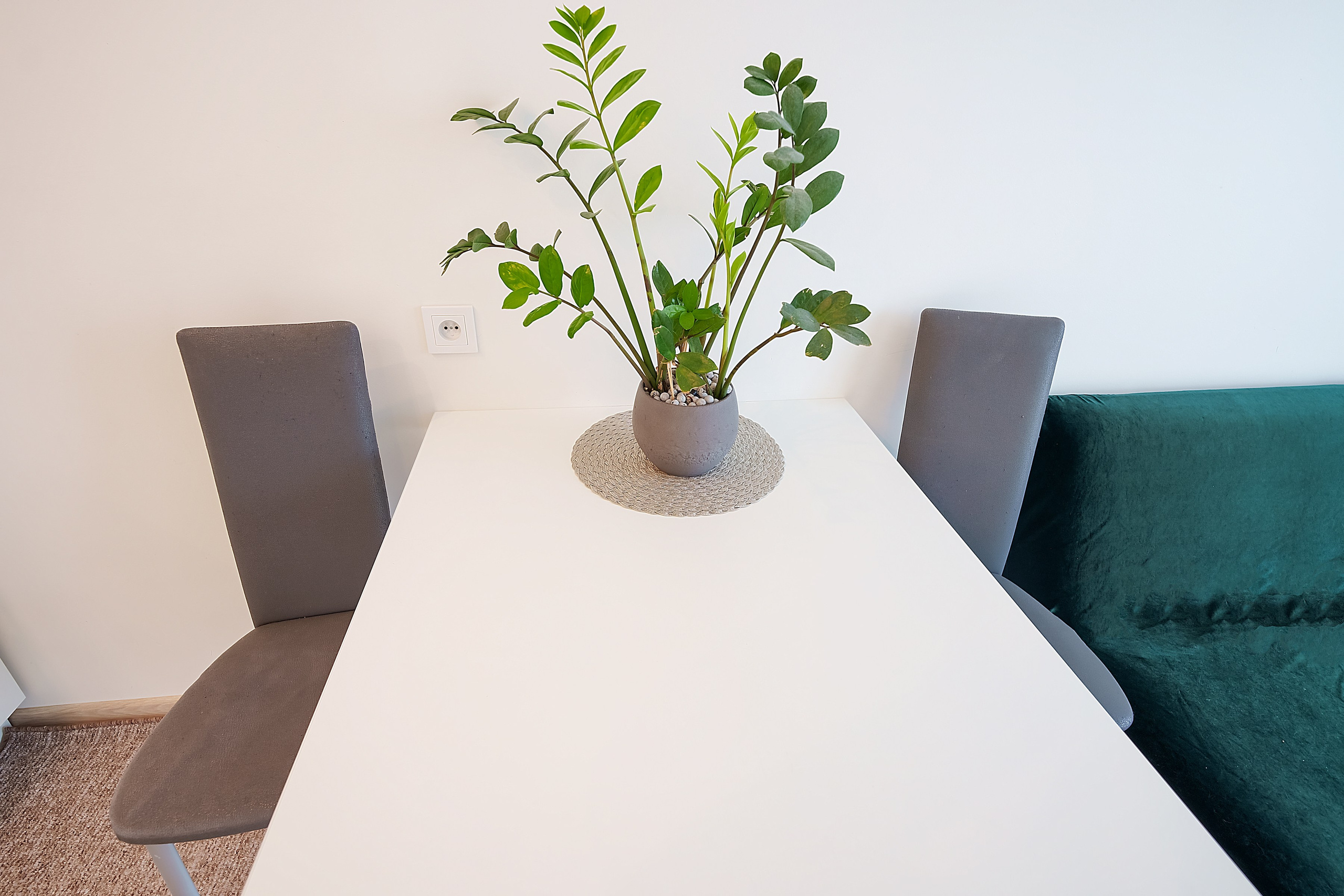 Stanevičiaus g. 64. Elina Sapiega fotografė Vilniuje