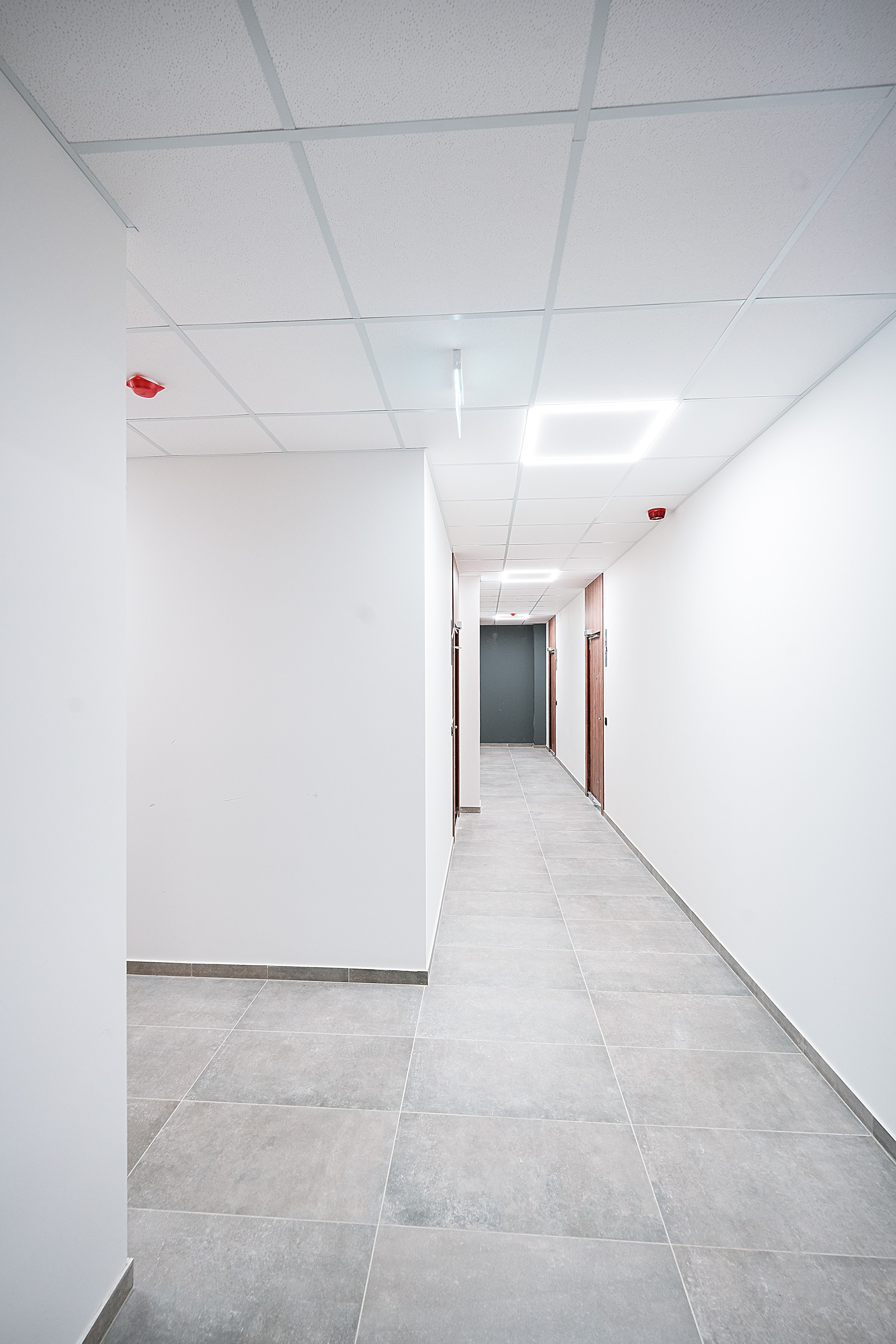 Bajorių kelias g. 29 (20). Elina Sapiega fotografė Vilniuje