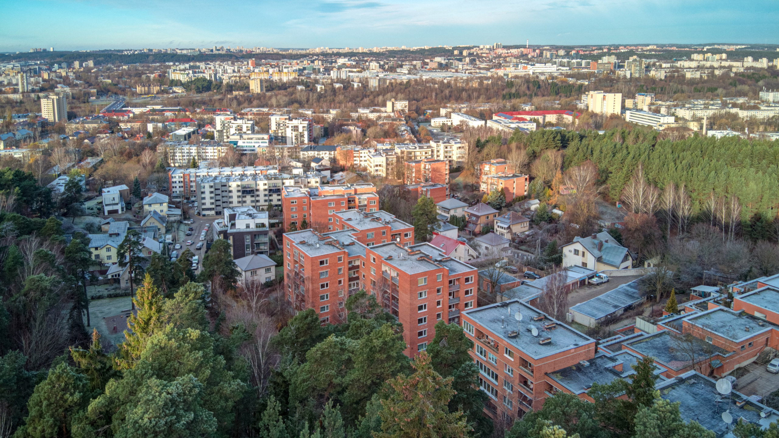 Dronas Antakalnis, Kanklių 10. Elina Sapiega fotografė Vilniuje