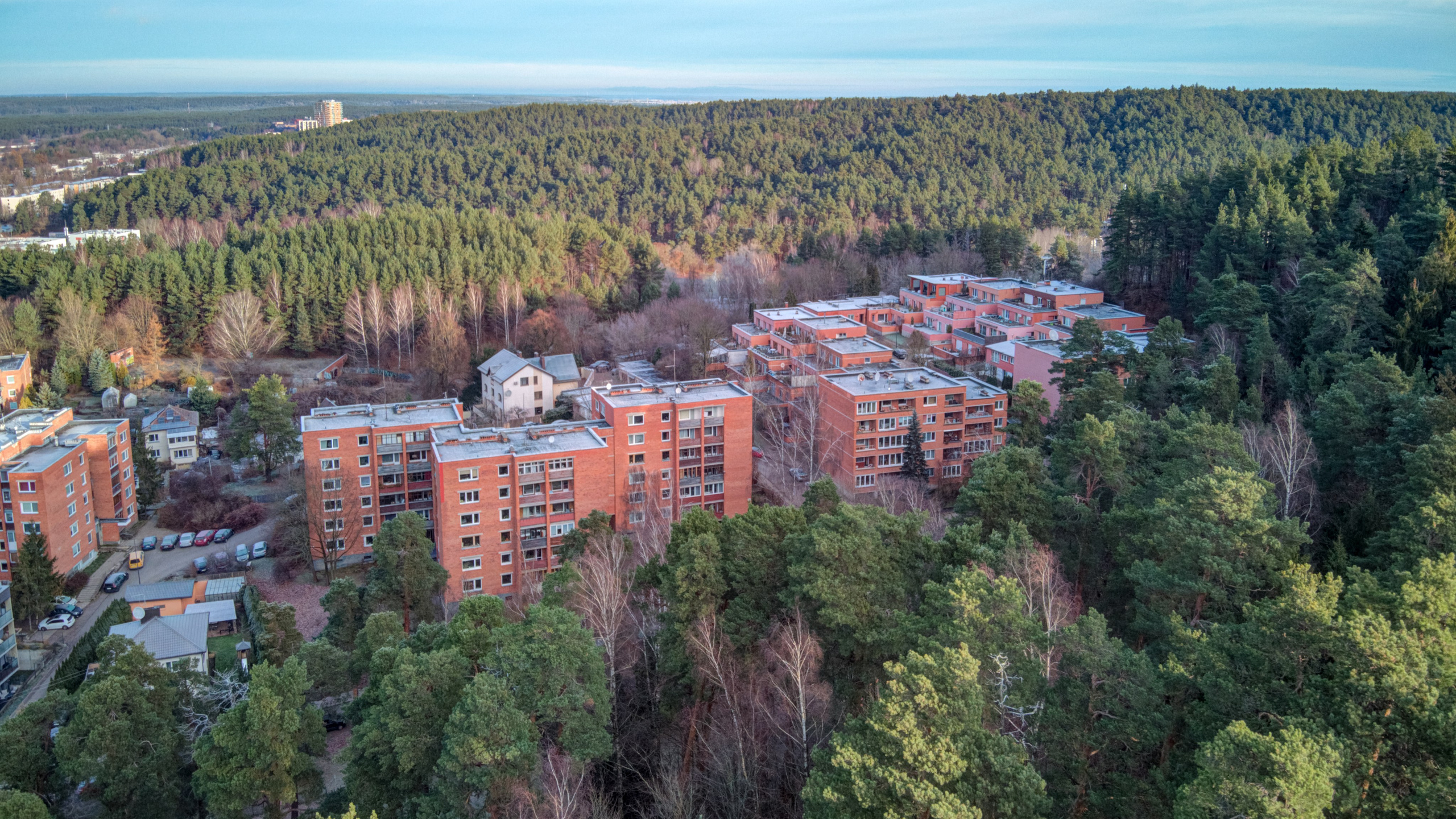 Dronas Antakalnis, Kanklių 10. Elina Sapiega fotografė Vilniuje