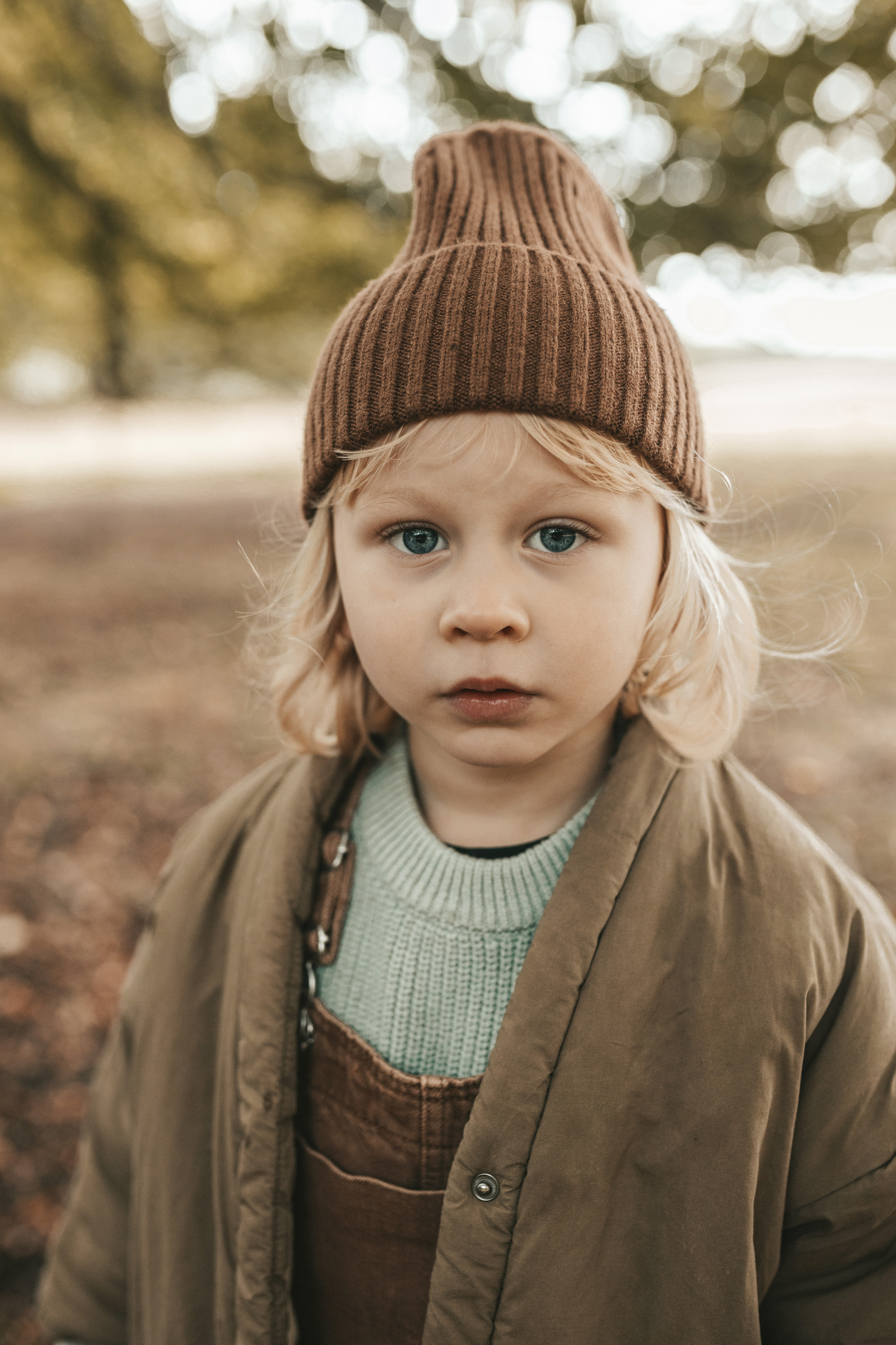 Autumn Story. Yorkshire Photographer