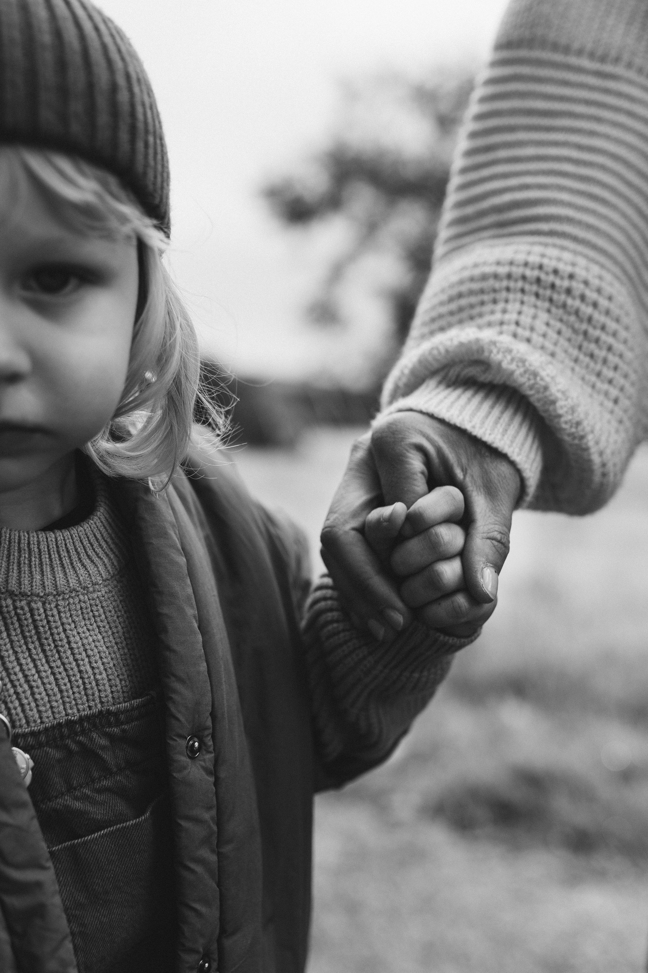 Autumn Story. Yorkshire Photographer