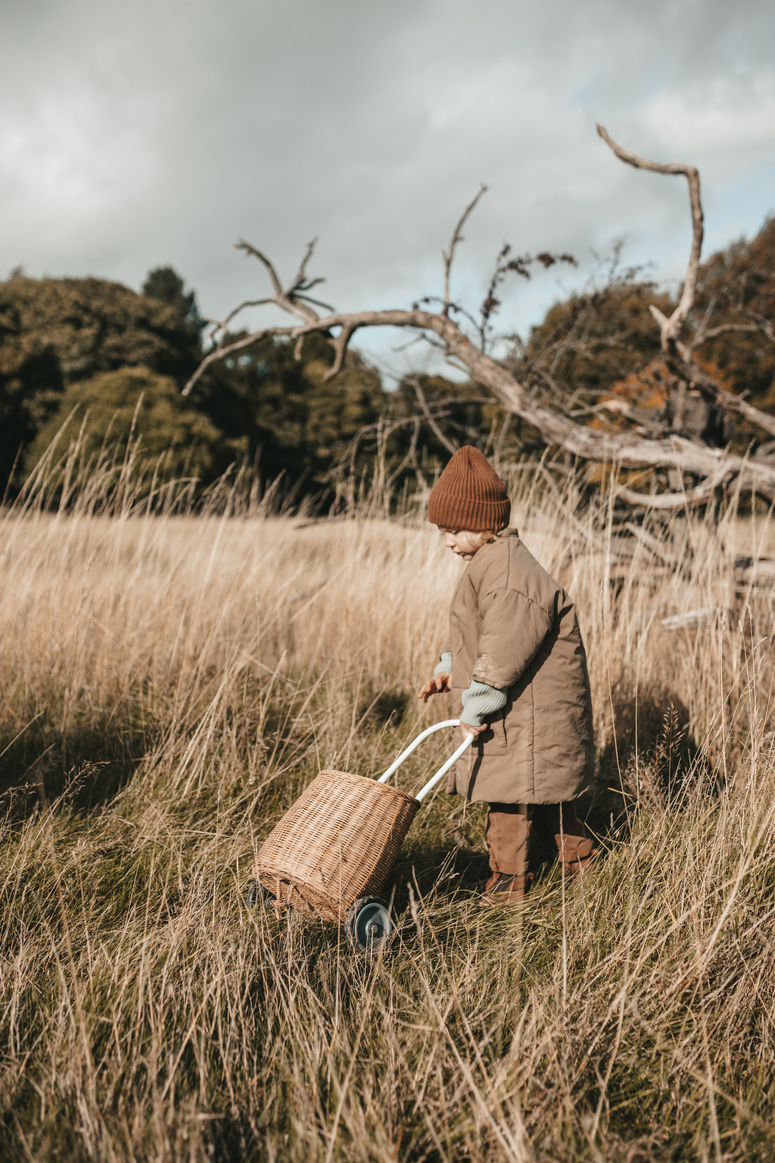 Autumn Story. Yorkshire Photographer
