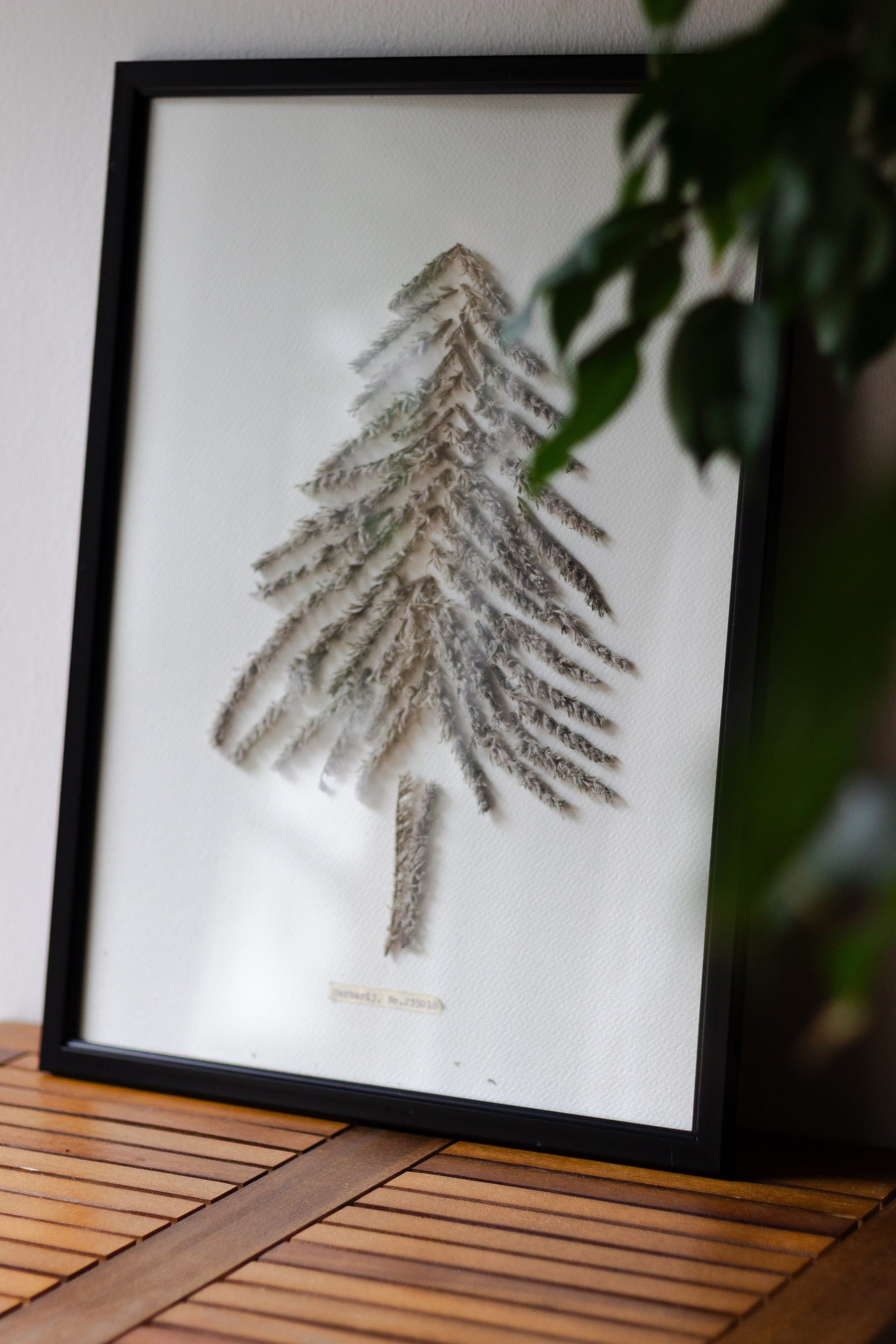 Portfolio. Herbarij studio