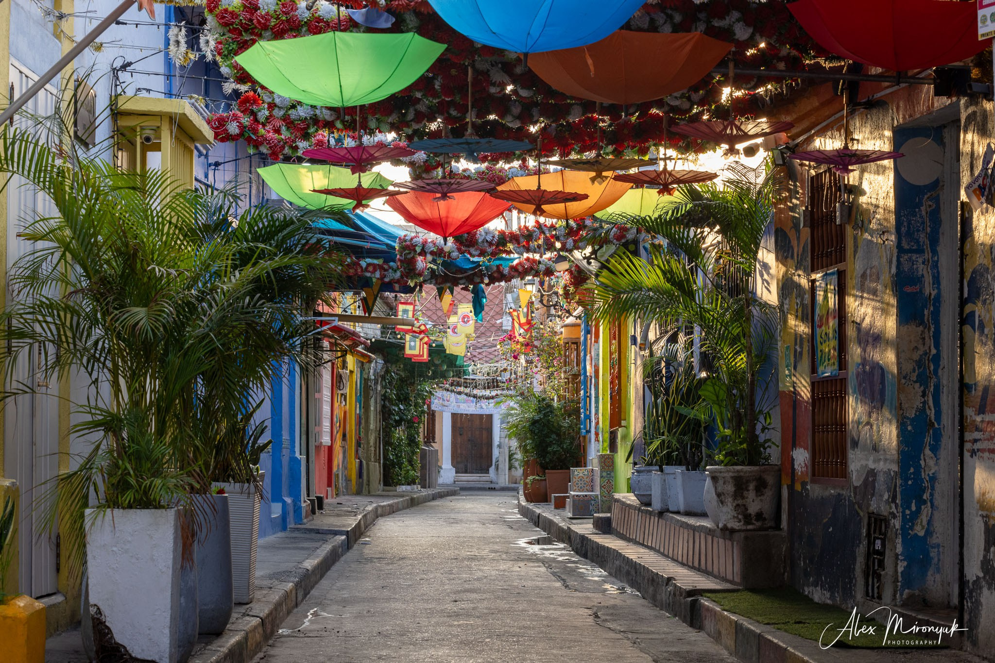 Colombia in Style. Pet, Senior, Landscape, portrait studio, photographer in Miami and Sou