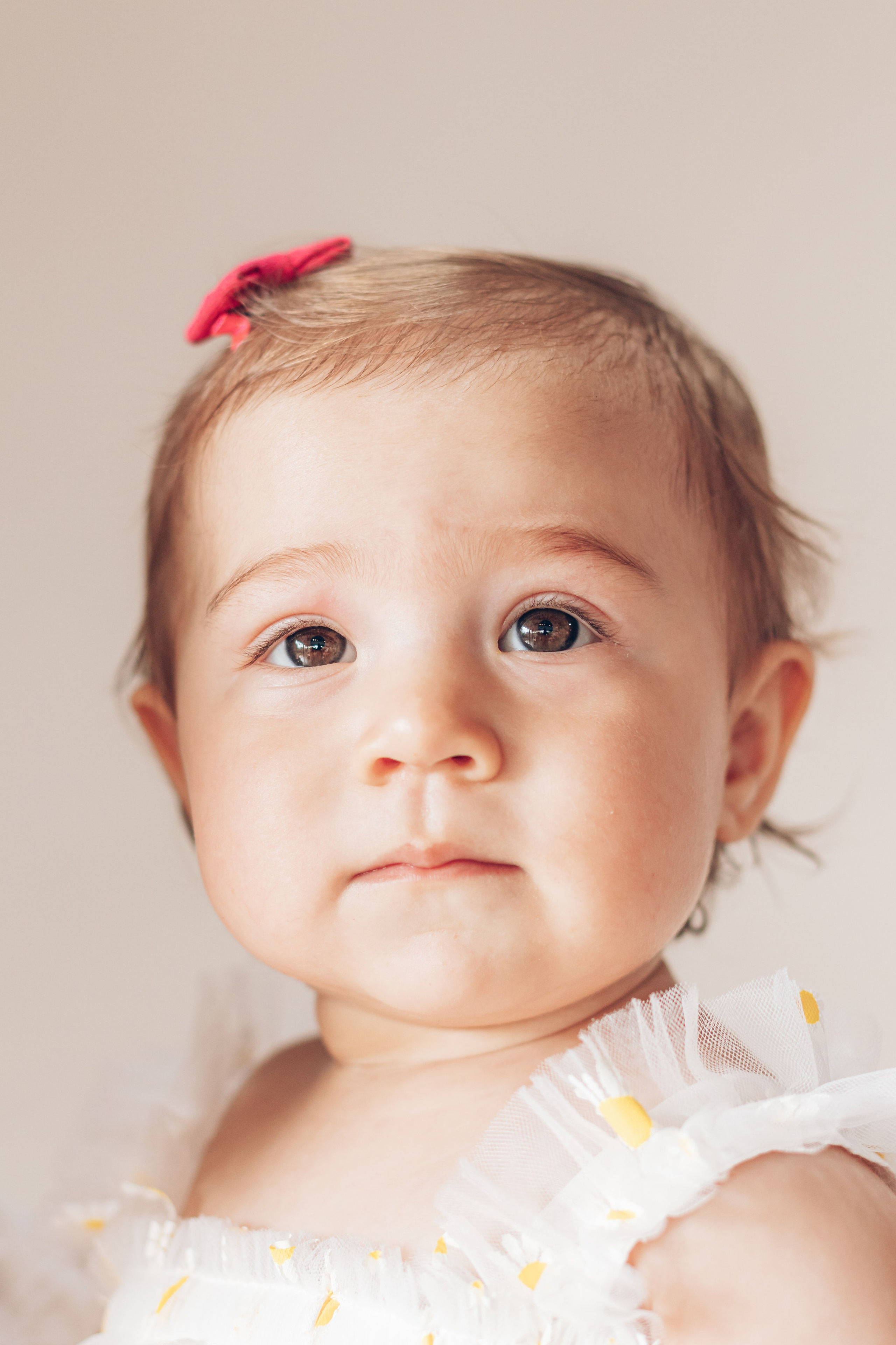 Alice — Aniversário 1 ano. Principal