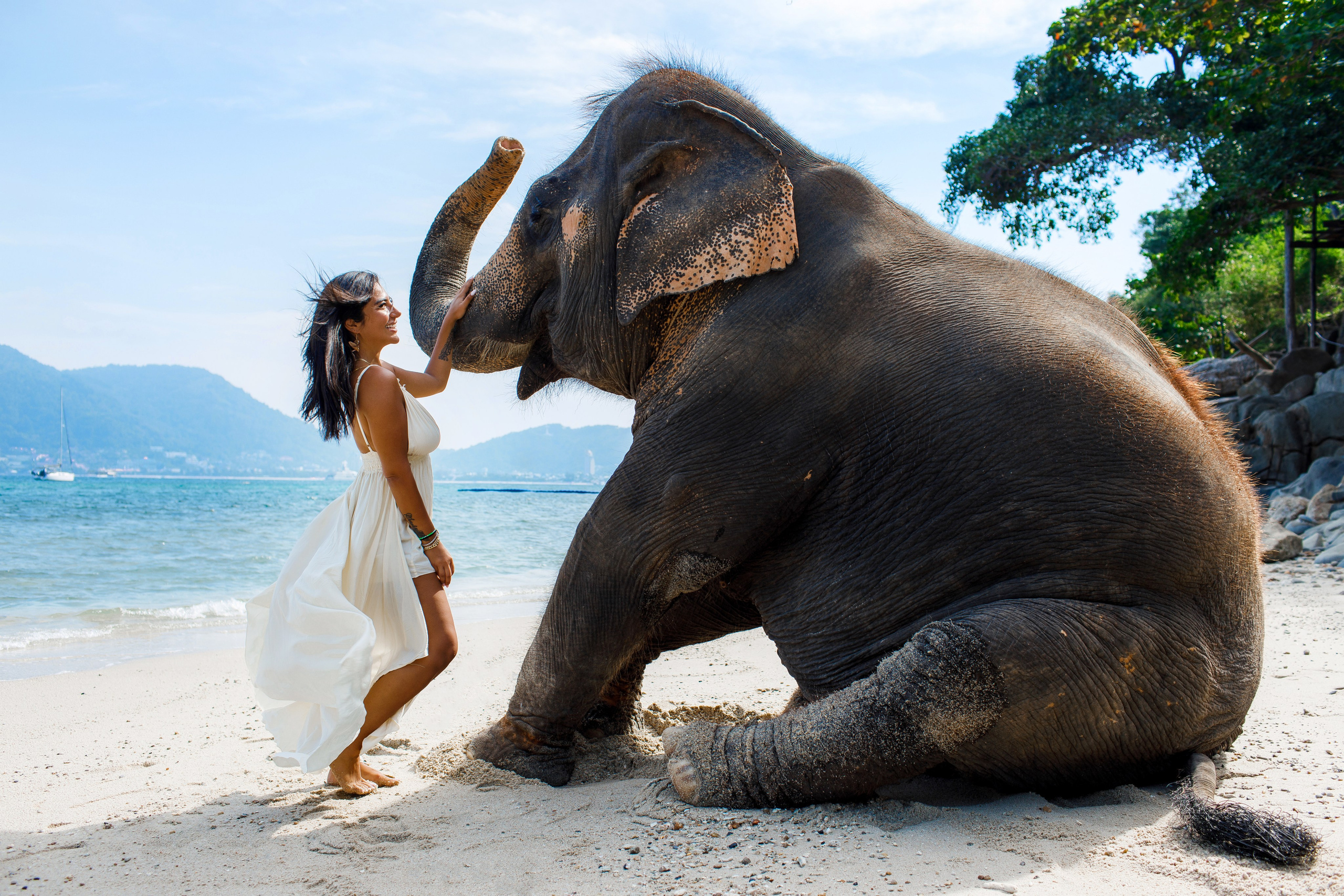 Photo with elephant. Photographer in Phuket. Photographer Thailand