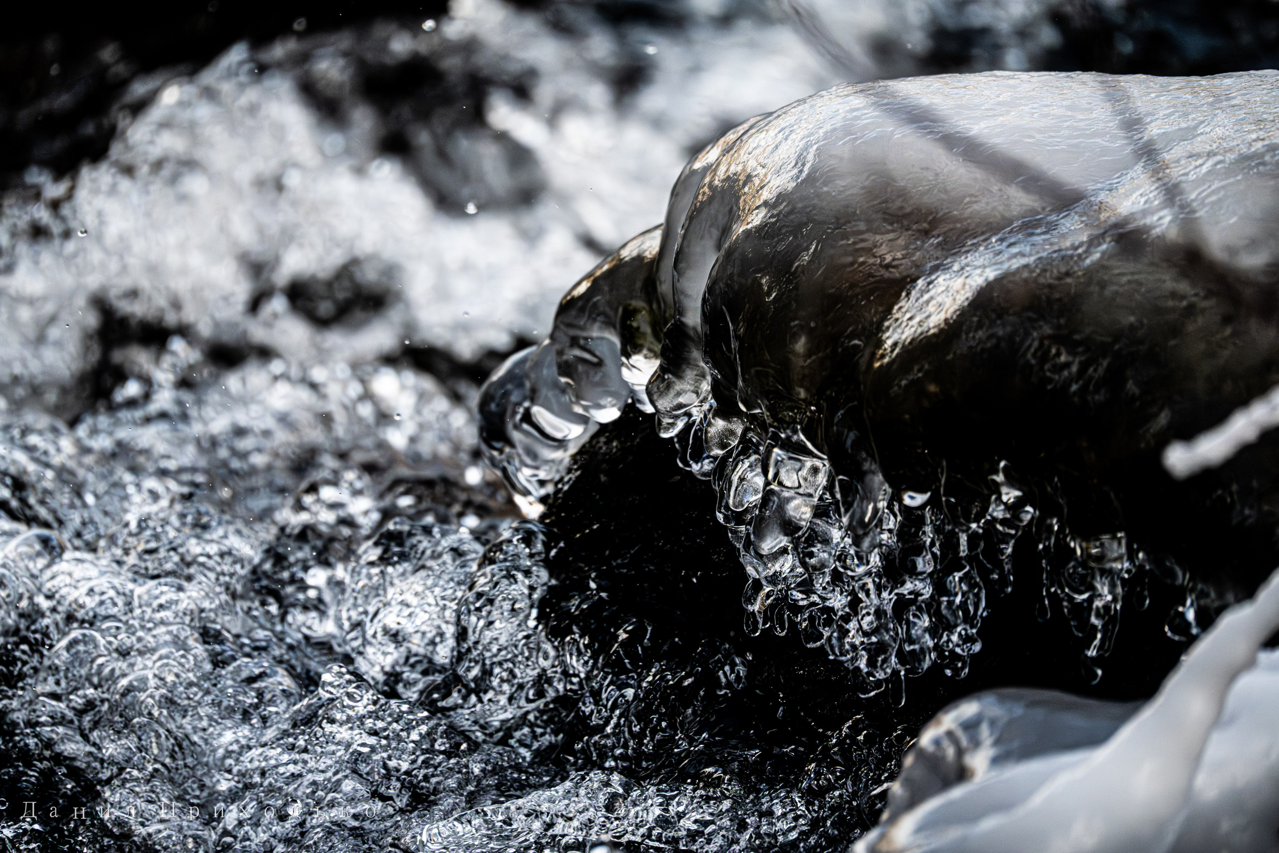 Danil Prikhodko Photography