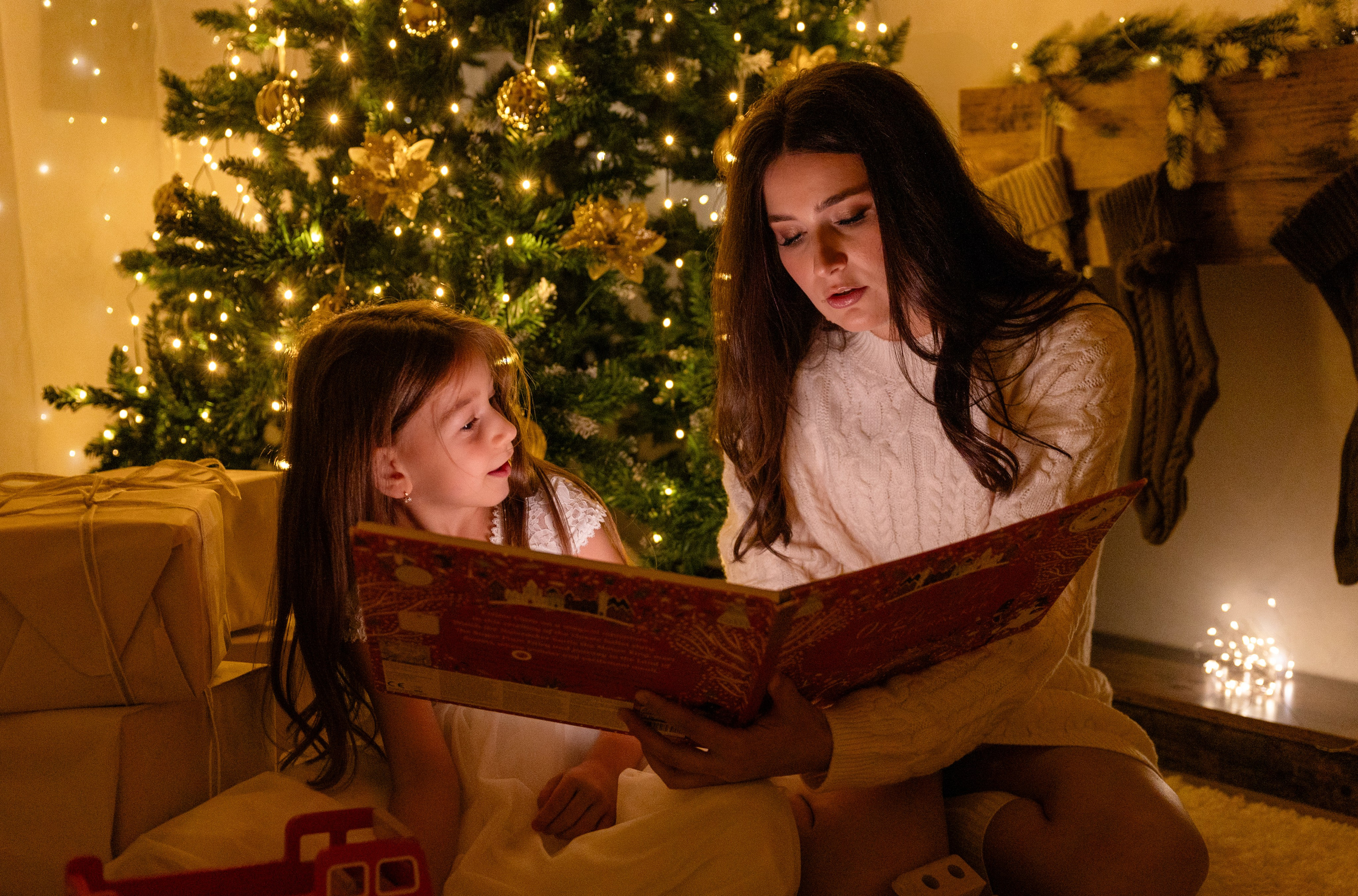 Foto Natale Famiglie 2025. Fotografo Videomaker Drone Padova Venice Italy Elena Radchenko