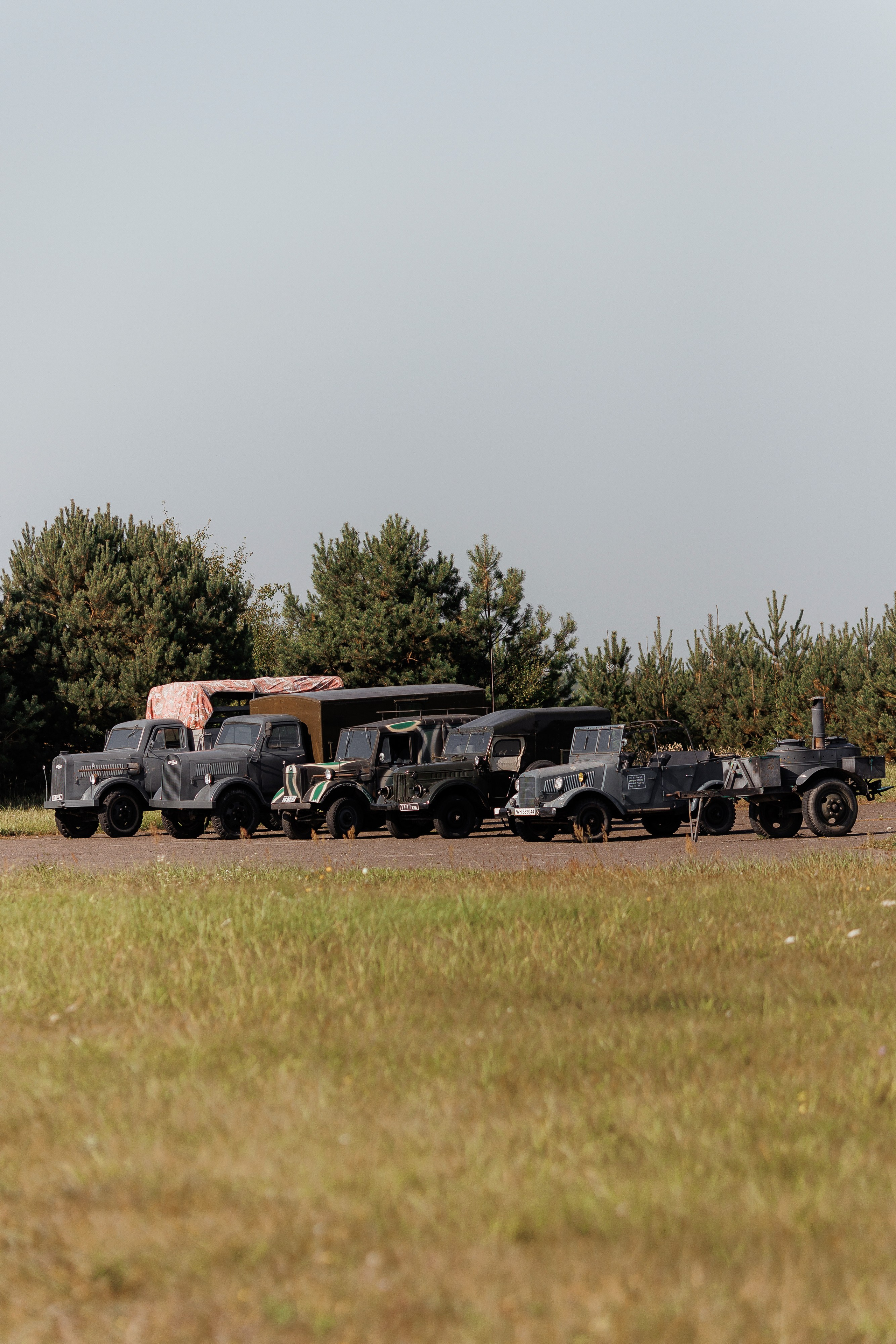 Екопарк Аміла. Ірина Терещук