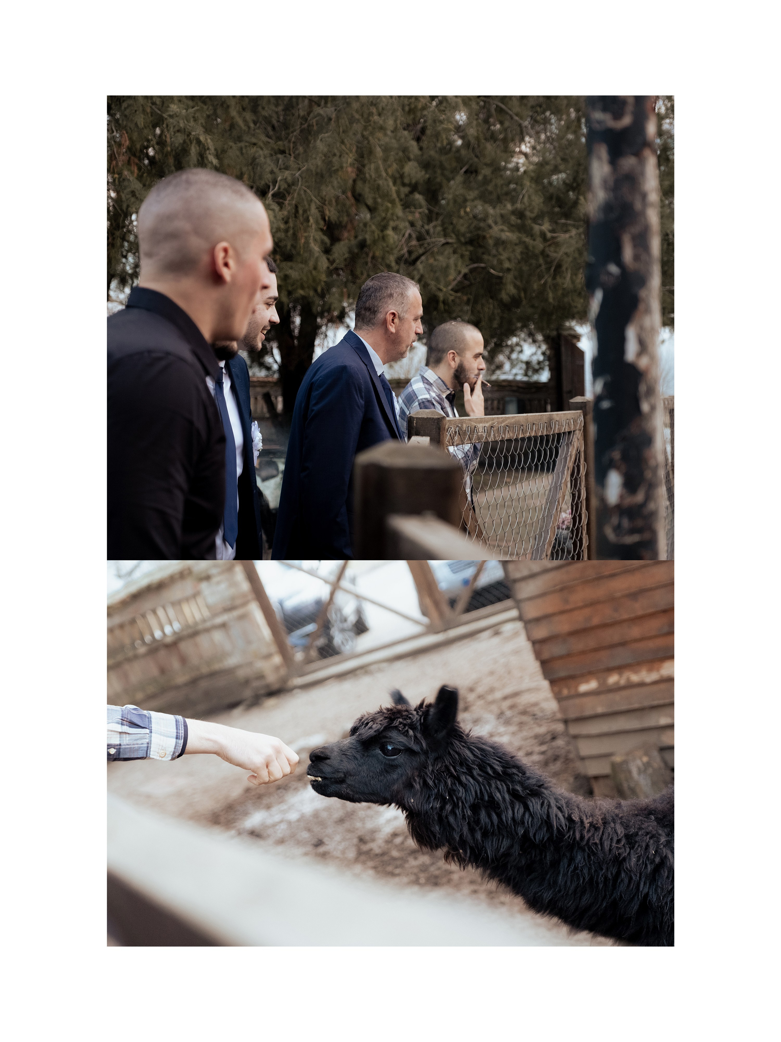 Portreti!. Sima.jpg | Fotograf i videograf iz Zrenjanina i Novog Sada | Venčanja, portreti, događaji i komercijalna fotografija