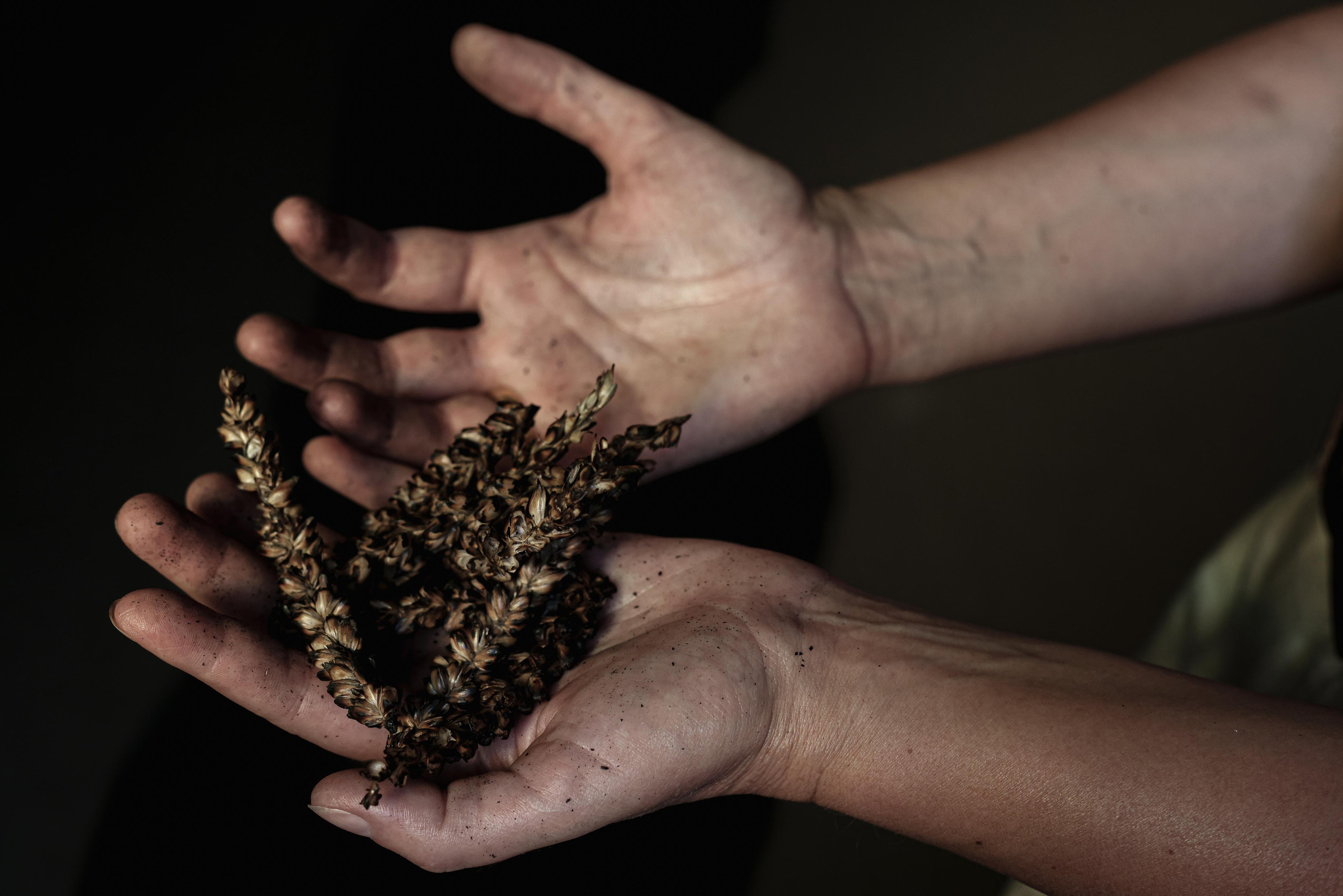 Témoignages. Natalia Bogdanovska. Films et photographie corporate en France