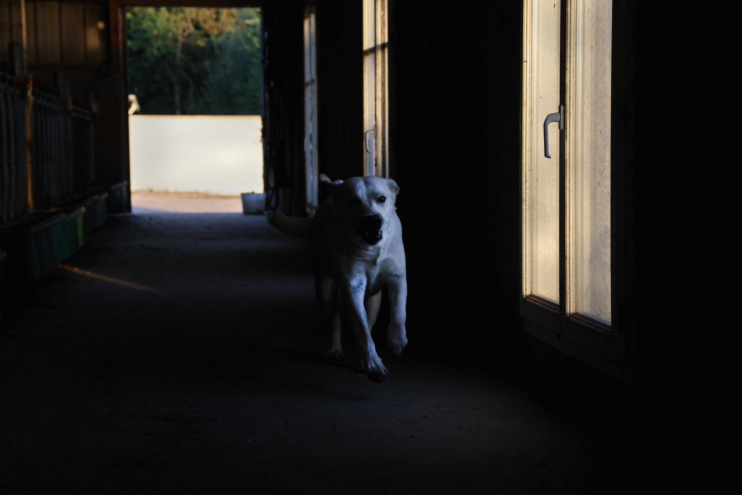 La ferme. Natalia Bogdanovska. Films et photographie corporate en France