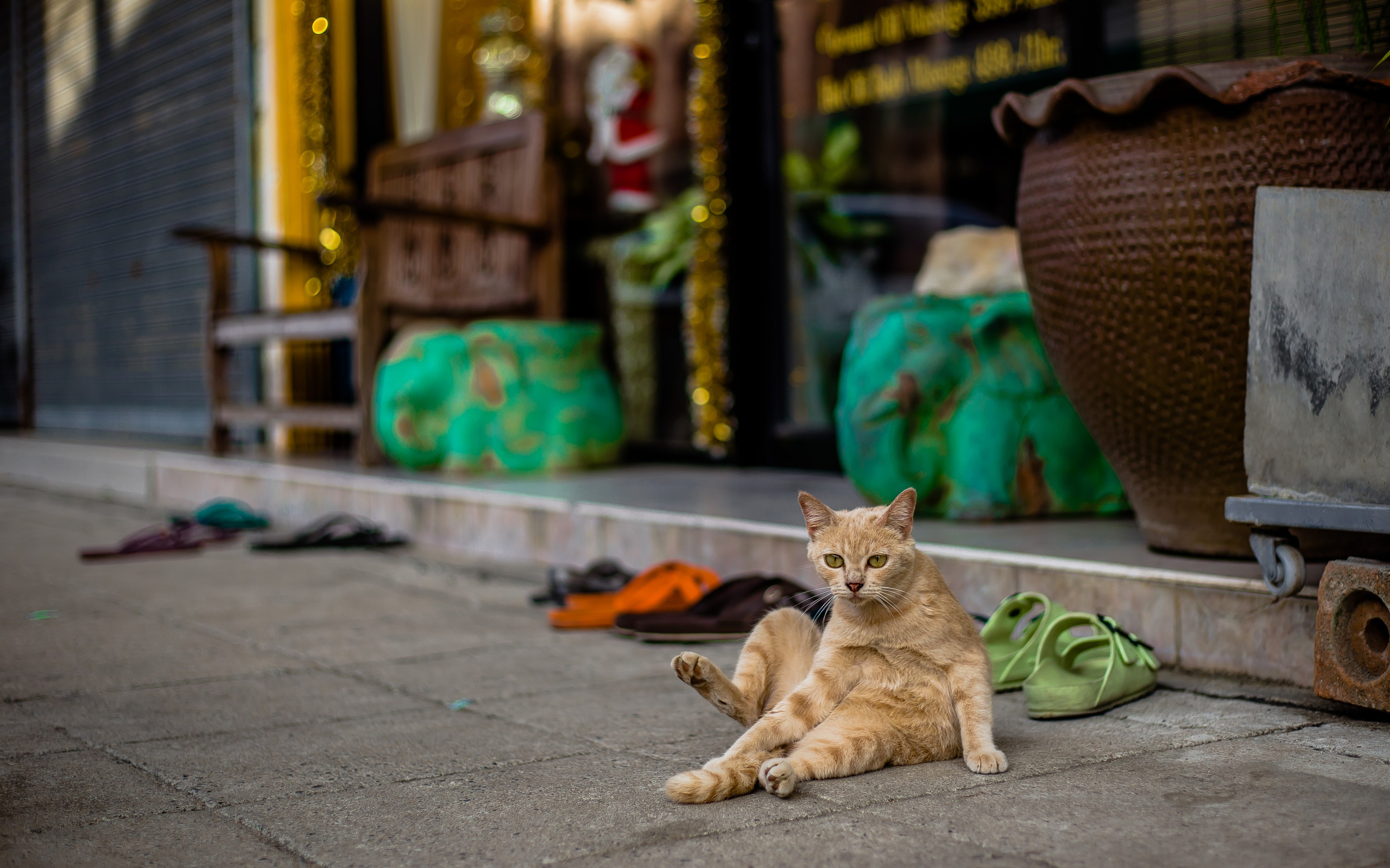 Thailand 2023, Samui. Art Photographer