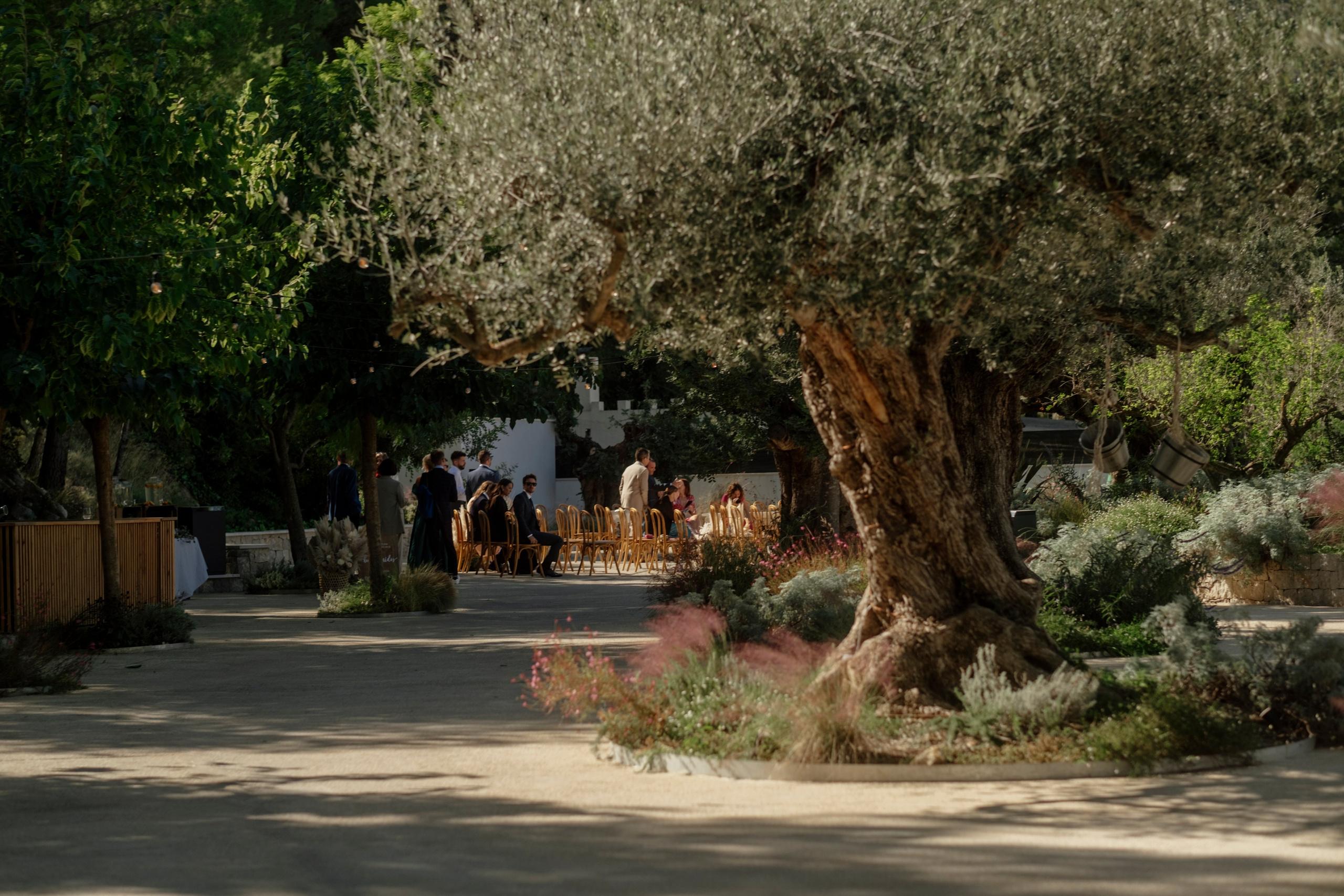 Dasha & Ister. Vivood Landscape. Paola fotógrafo / videografo de bodas en Barcelona