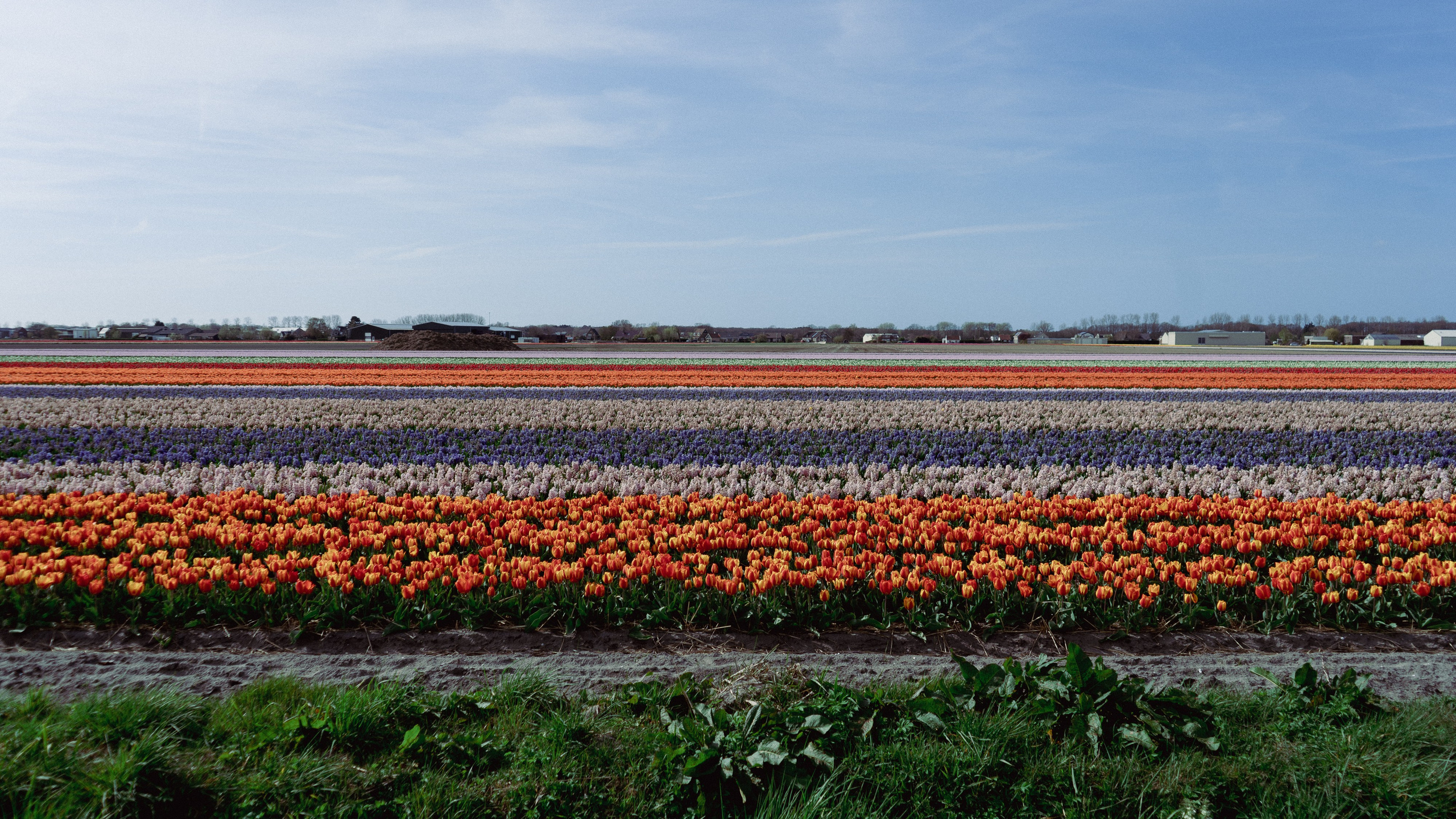 NETHERLANDS. MA Visuals — Fotografia e Vídeo