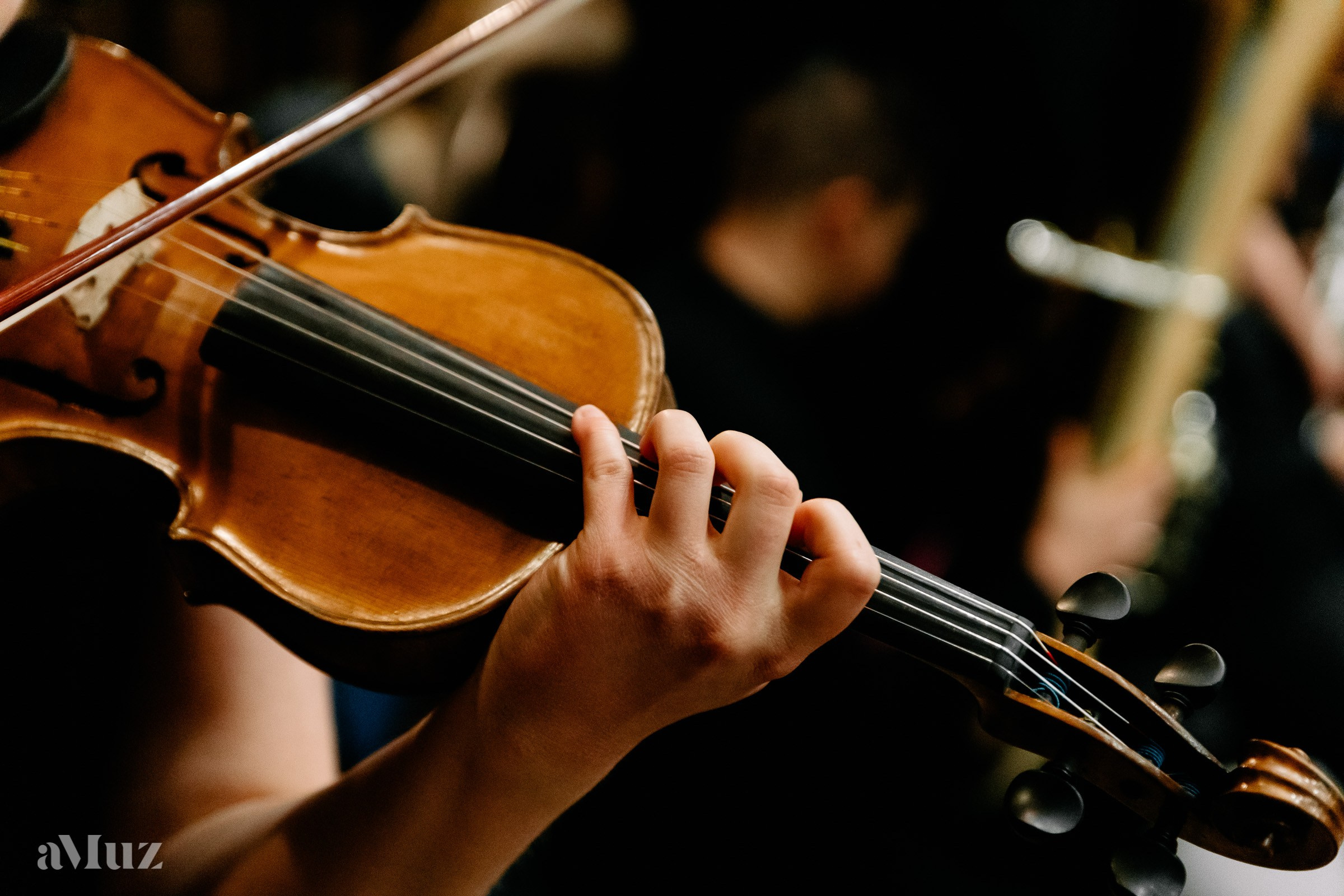 Koncert Amuz.pl. Fotograf Ślubny Warszawa - Sesje Biznesowe Rodzinne Eventy
