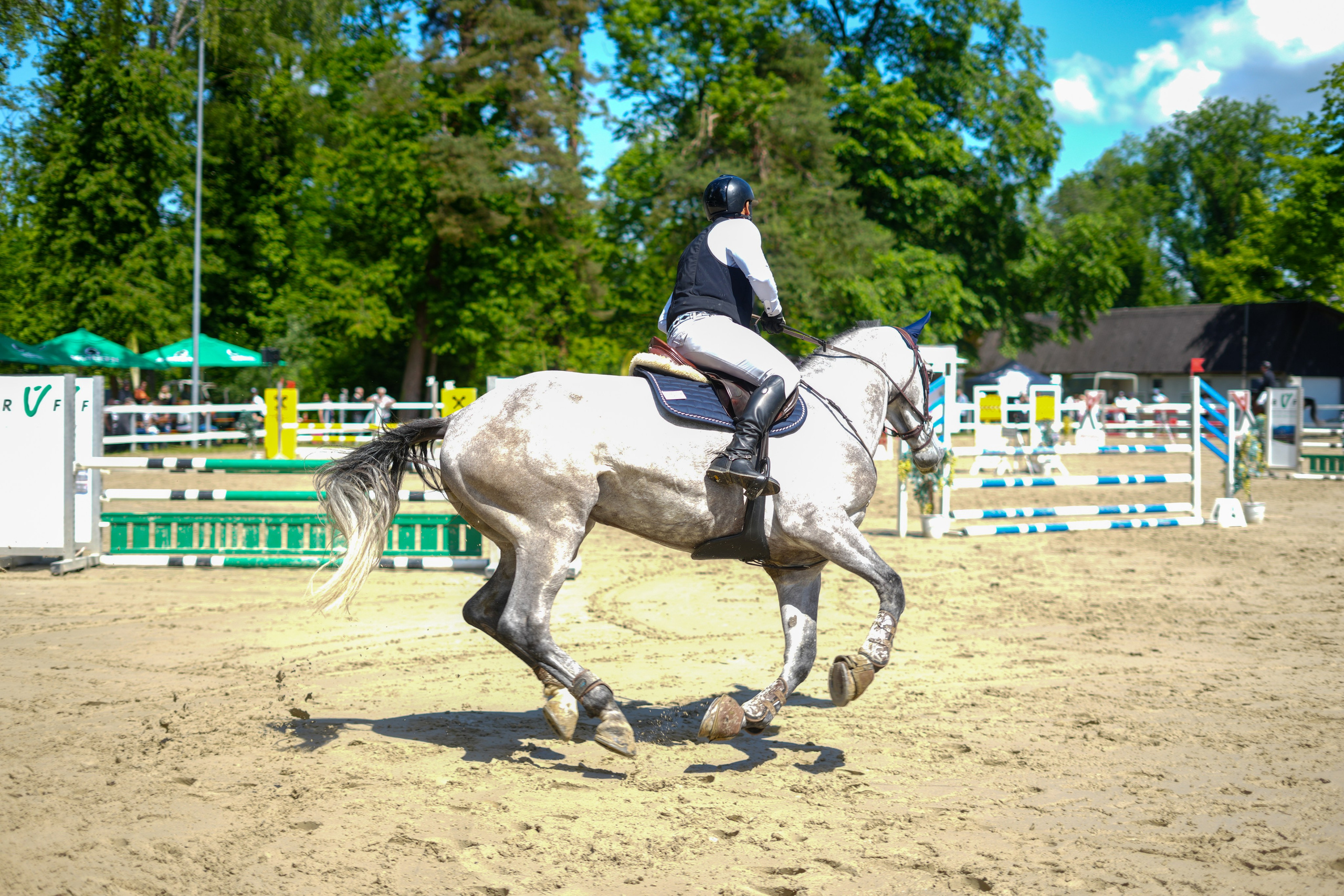 Equestrian Competition