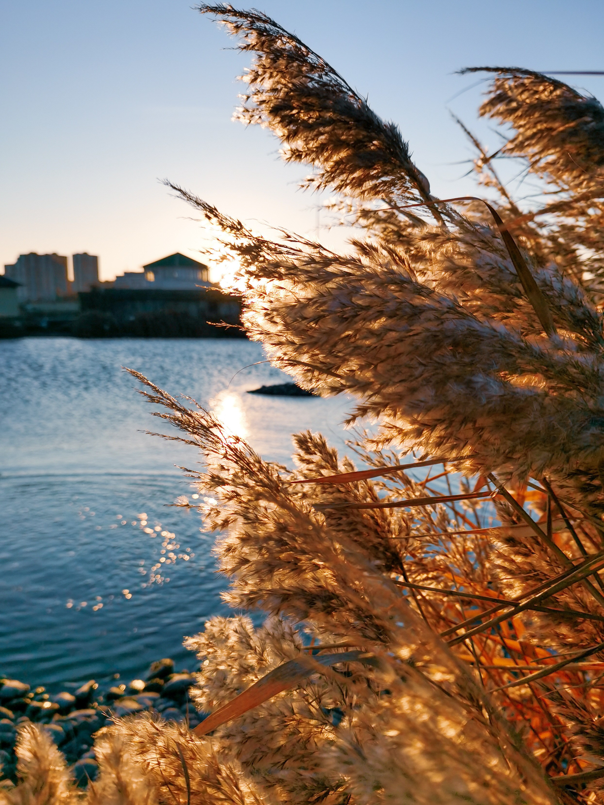 Novorossiysk in pictures of travel photographer. Victoria Fedoseenko. Photographer from Serbia