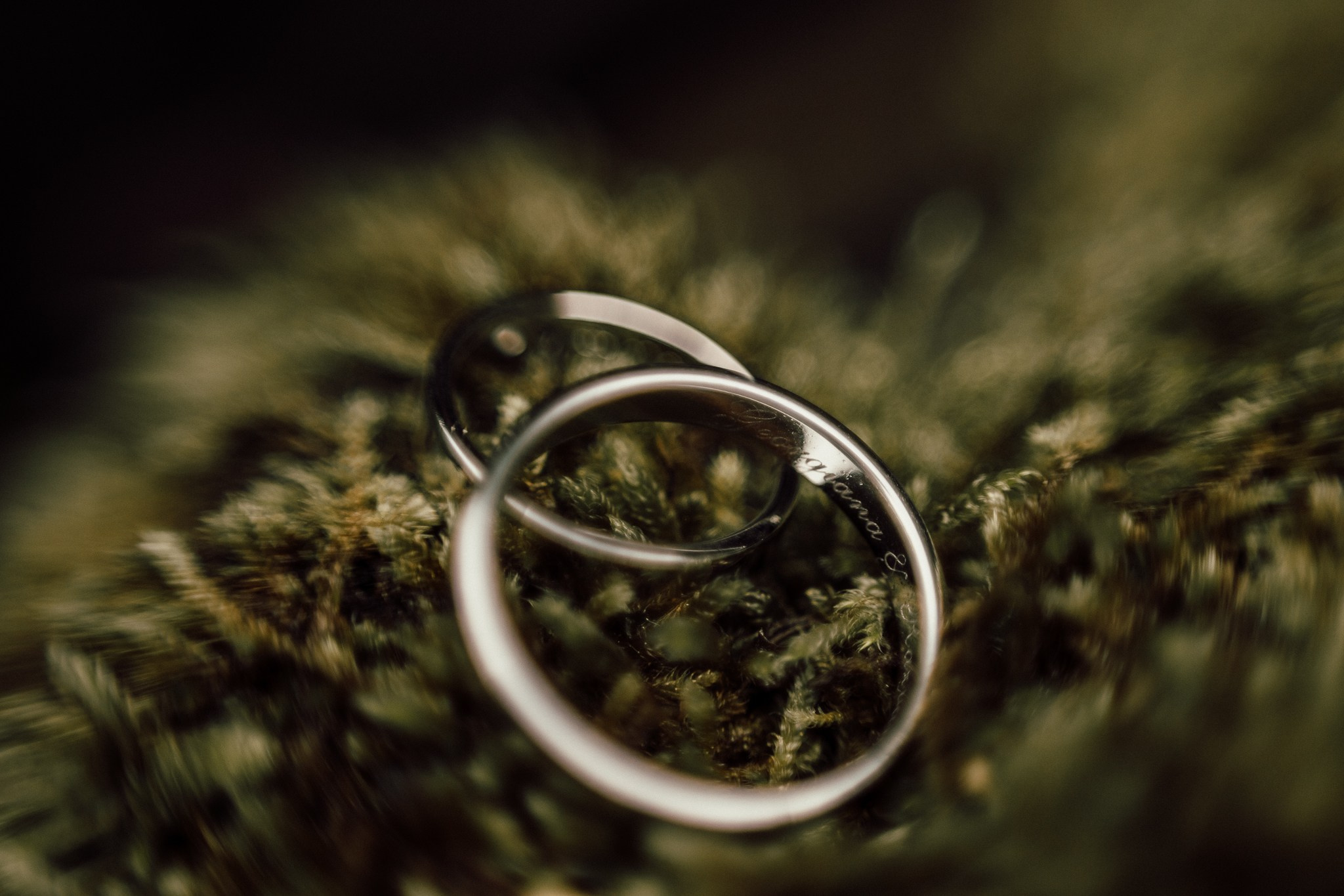 Fotografii de nuntă la Muzeul de artă Cluj-Napoca. Horatiu Fat: Fotograf si Videograf Profesionist Nunta Cluj-Napoca