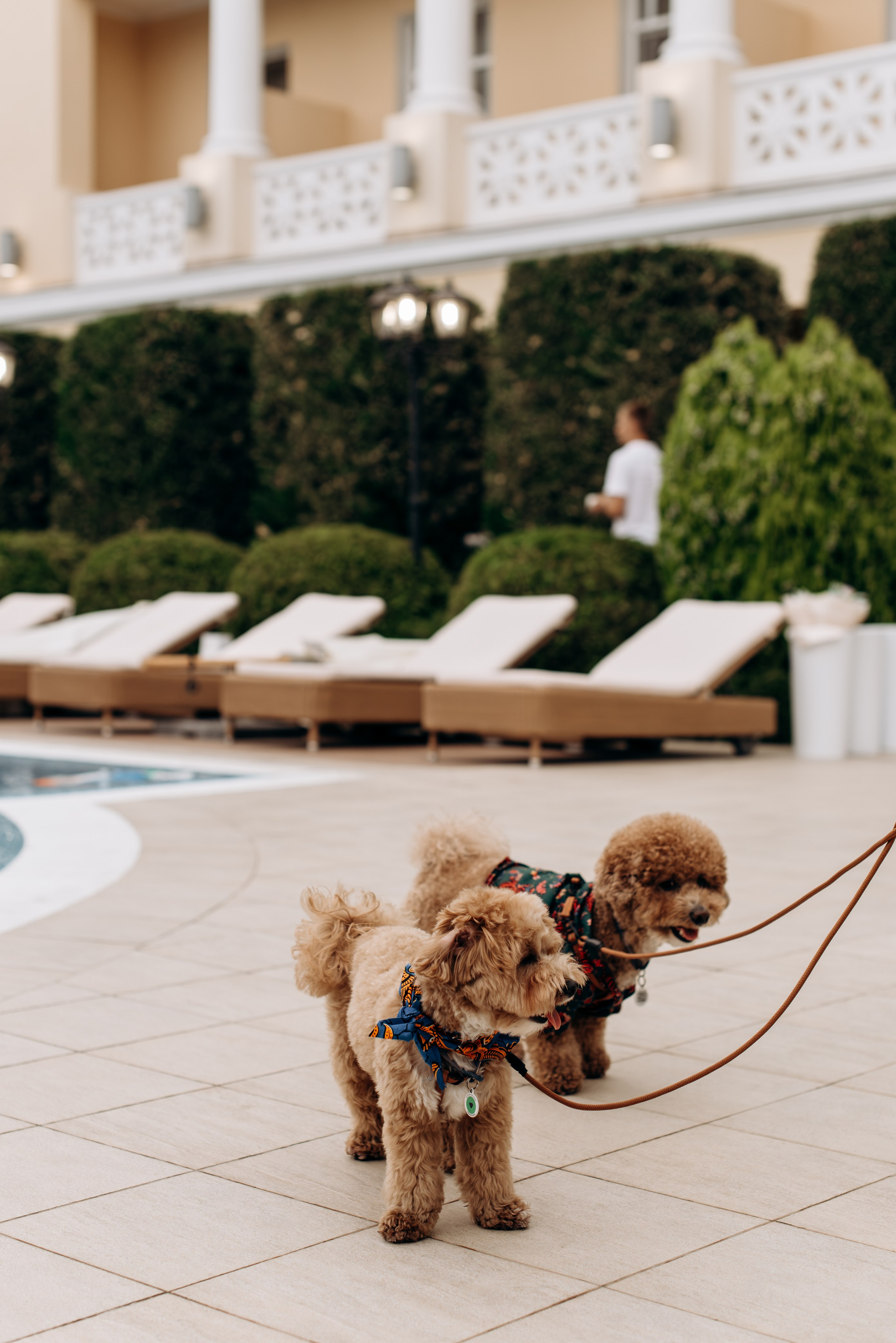 *. Wedding and family photographer San Diego