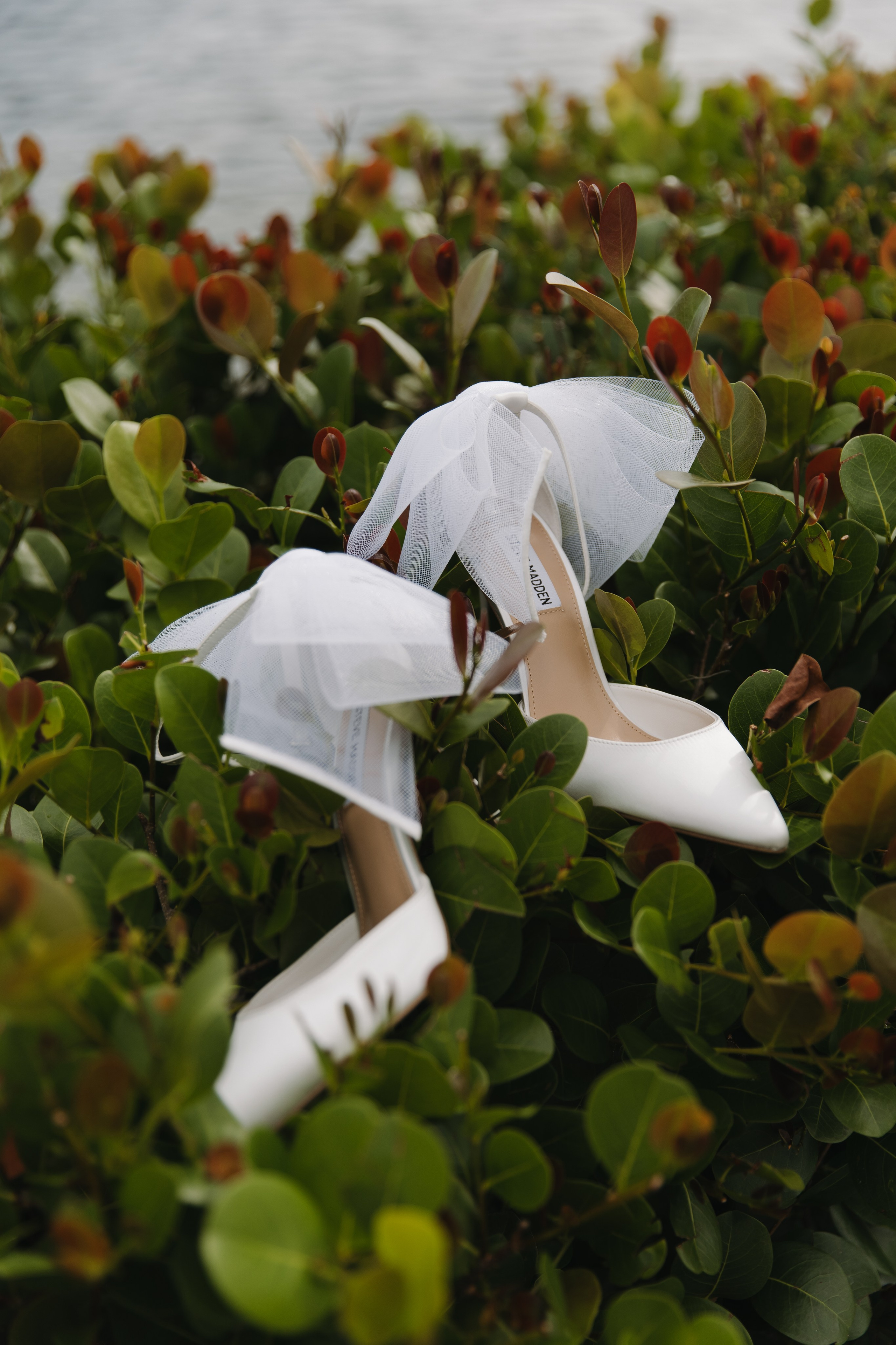 Love and Eugenii. North Port. Photographer Anastasia Nagibina