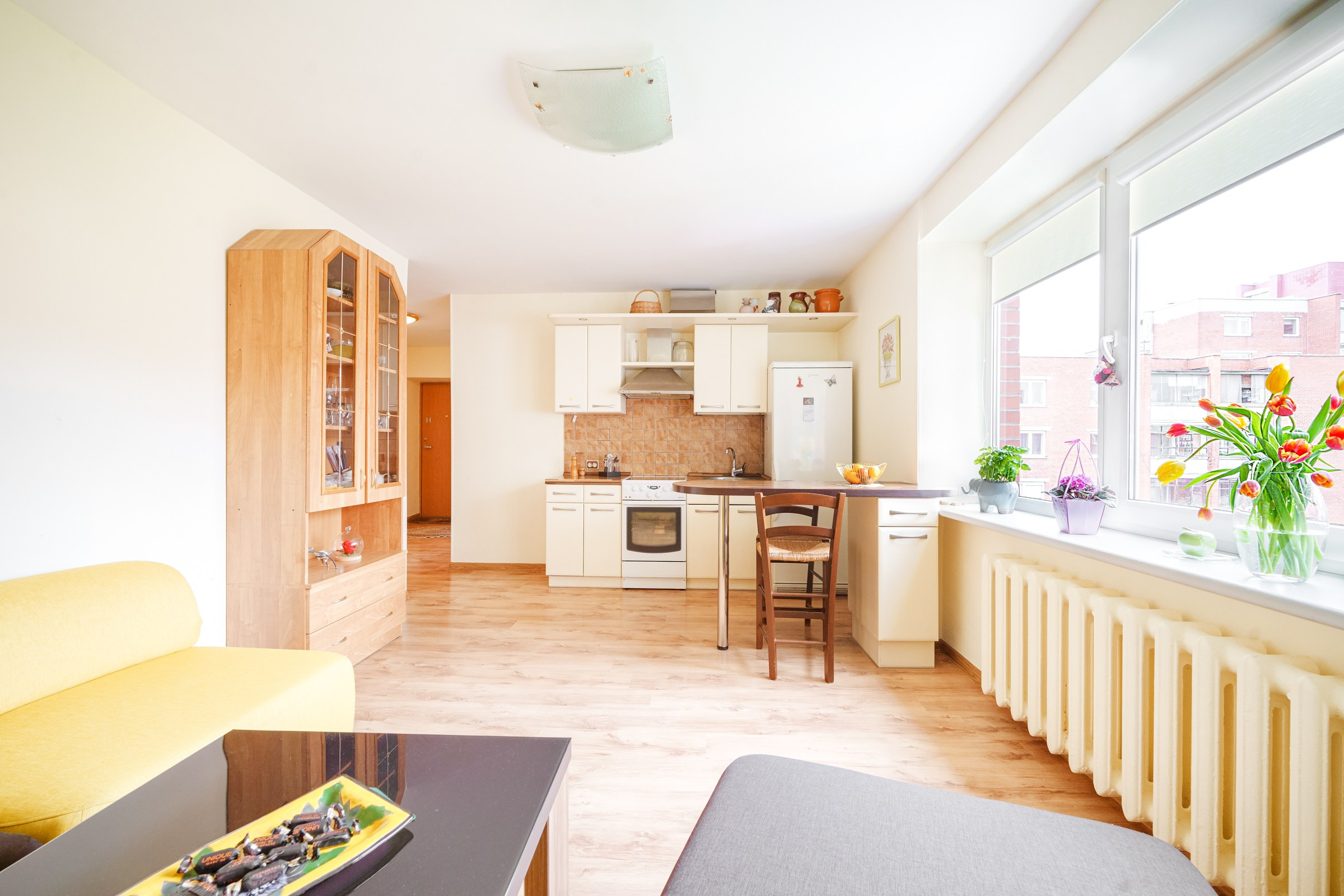 Ateities g. 1. Elina Sapiega fotografė Vilniuje