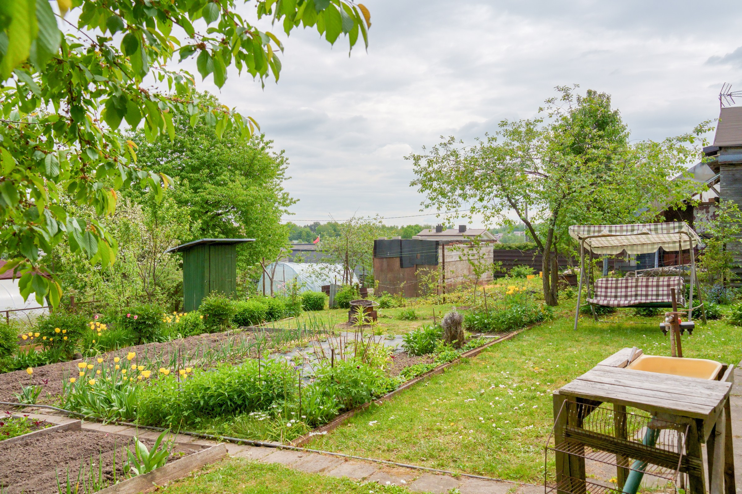 Pupojų sodų 3-oji. Elina Sapiega fotografė Vilniuje