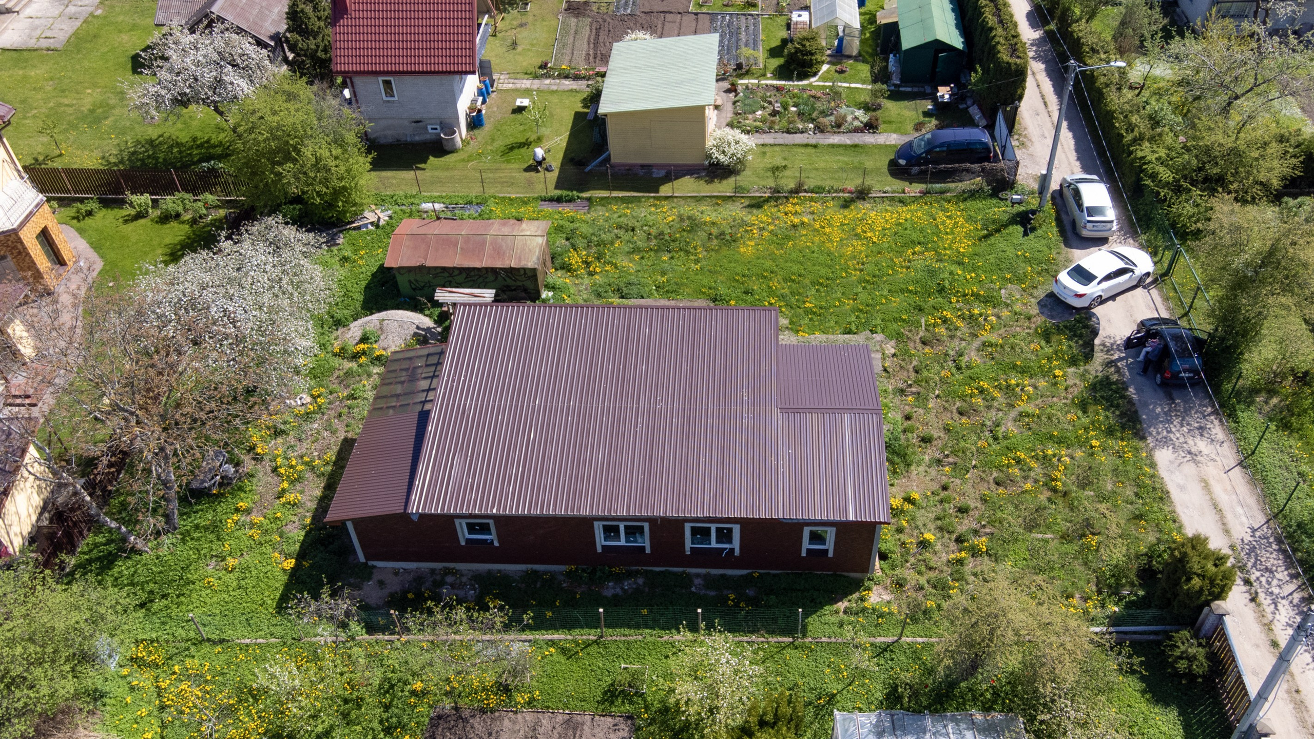 Kelmijos sodų 10-oji. Elina Sapiega fotografė Vilniuje