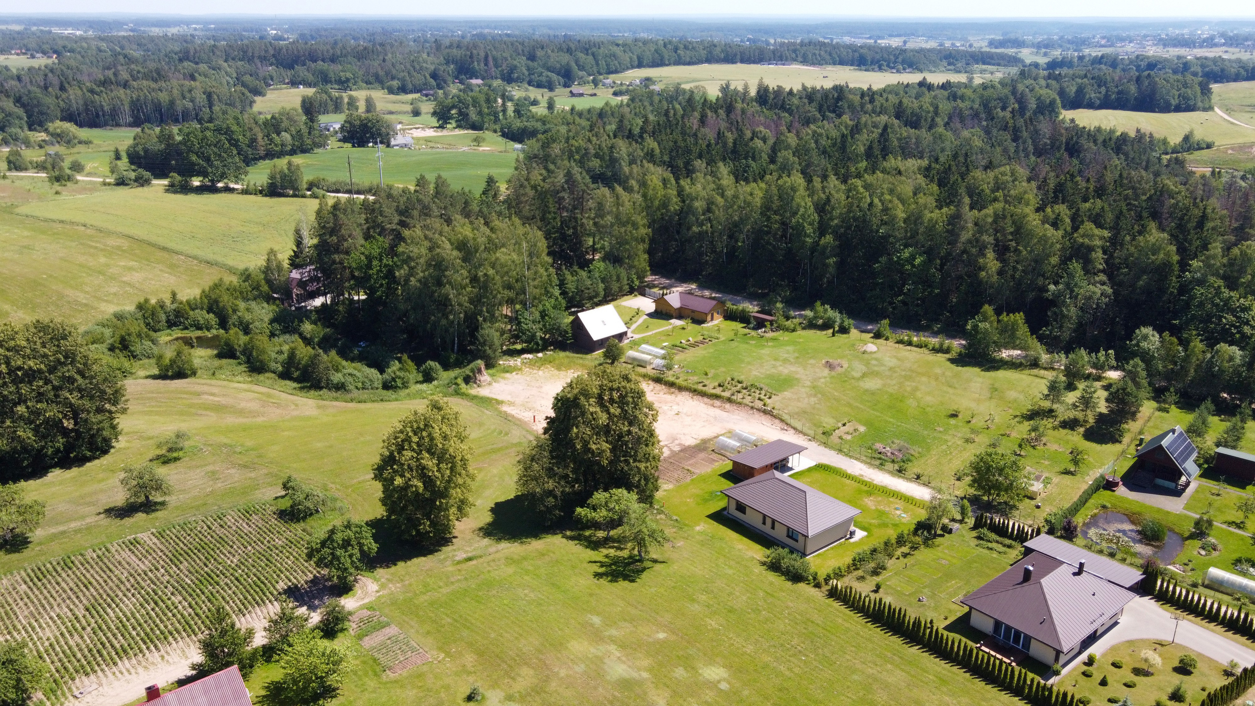 Žudiškių k. Ežero g. 70, Rešes sen. Elina Sapiega fotografė Vilniuje