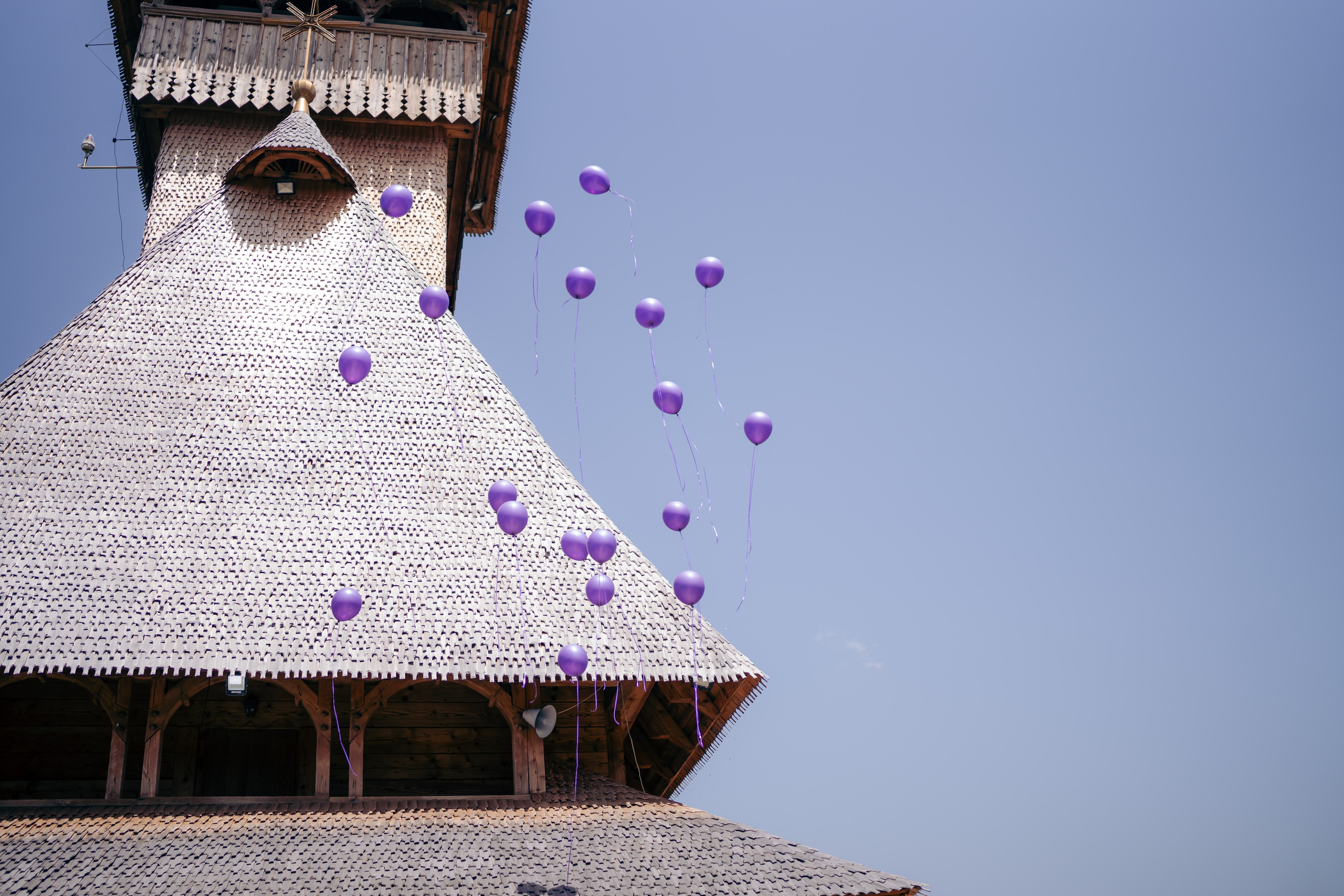 Iris. CC Photography \ Fotograf Profesionist \ Evenimente