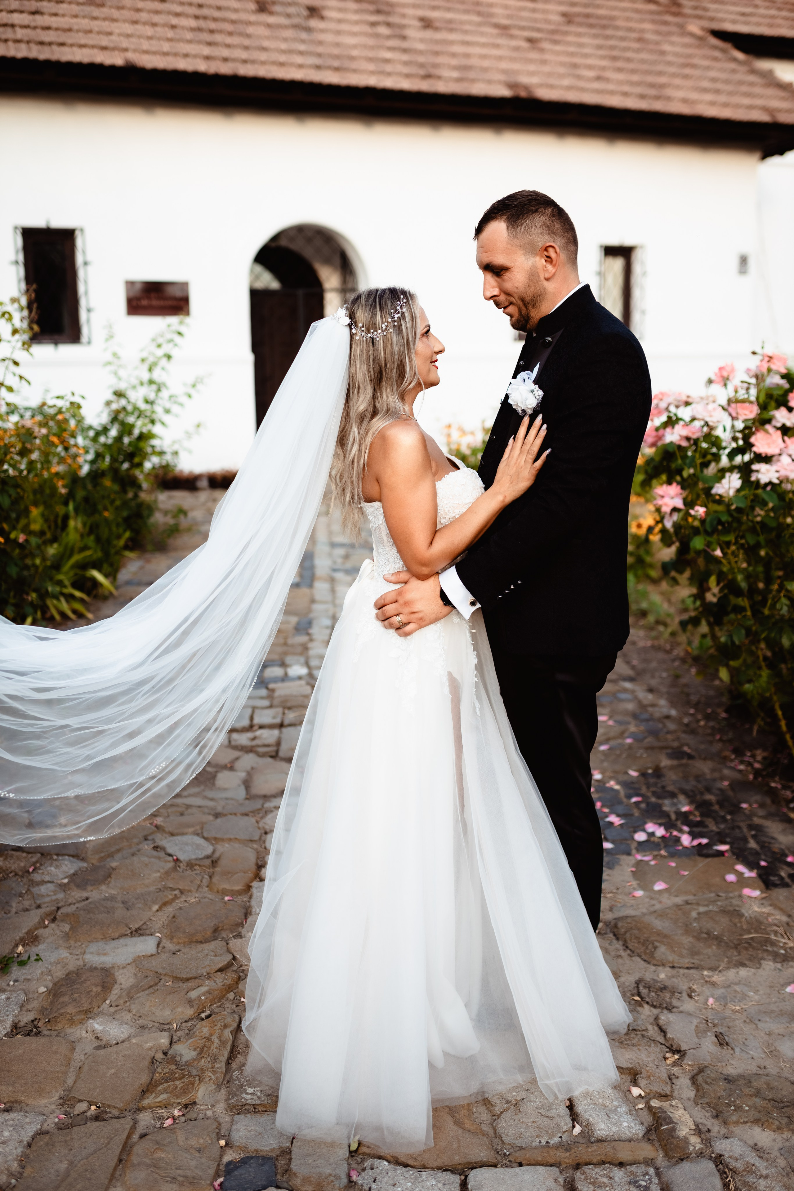 Inele de logodna. Stefan Teodorescu — Fotograf de Nunta