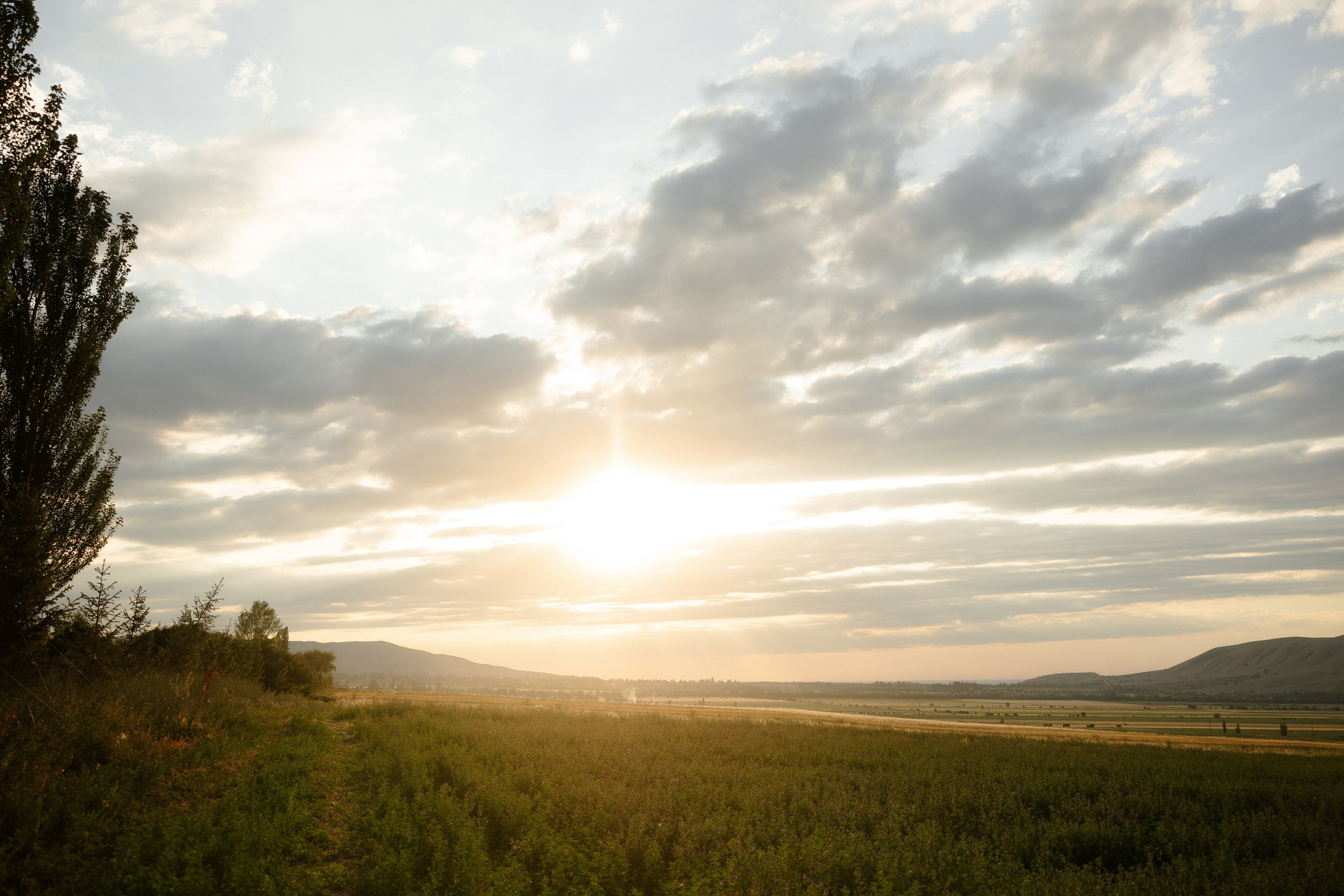 Самат и Айжан. Азимжан Нуритдинходжаев — свадебный фотограф